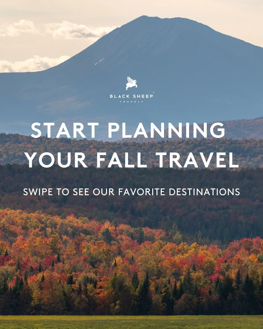 Fall travel starts now 🍂

From Kyoto, Japan to Stowe, Vermont, Alberta, Canada, and Patagonia, Chile, the season brings unforgettable color and cozy escapes.

The best trips book early. Start planning your fall getaway with us today ✨