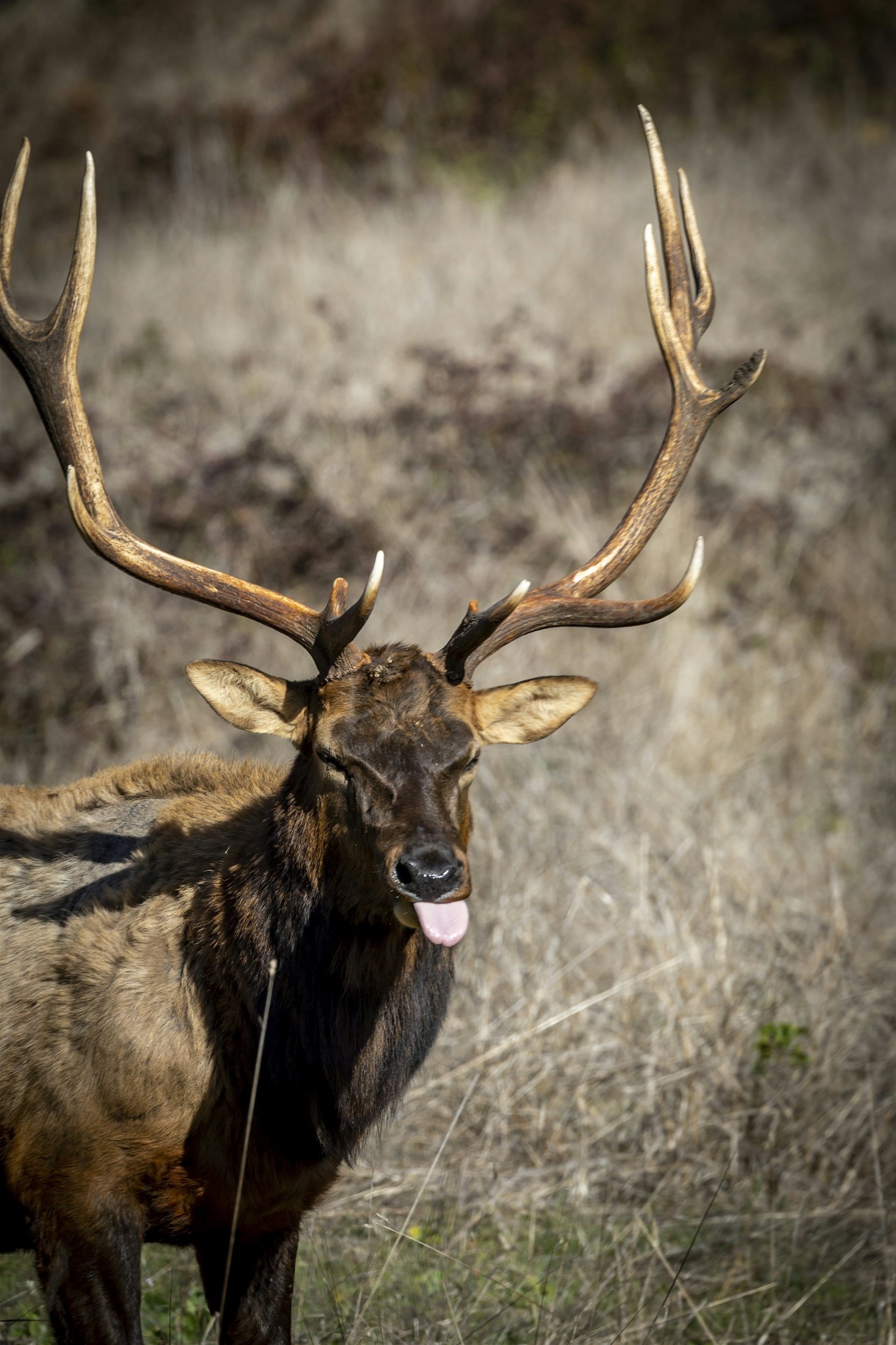 Holiday Isle Elks Lodge