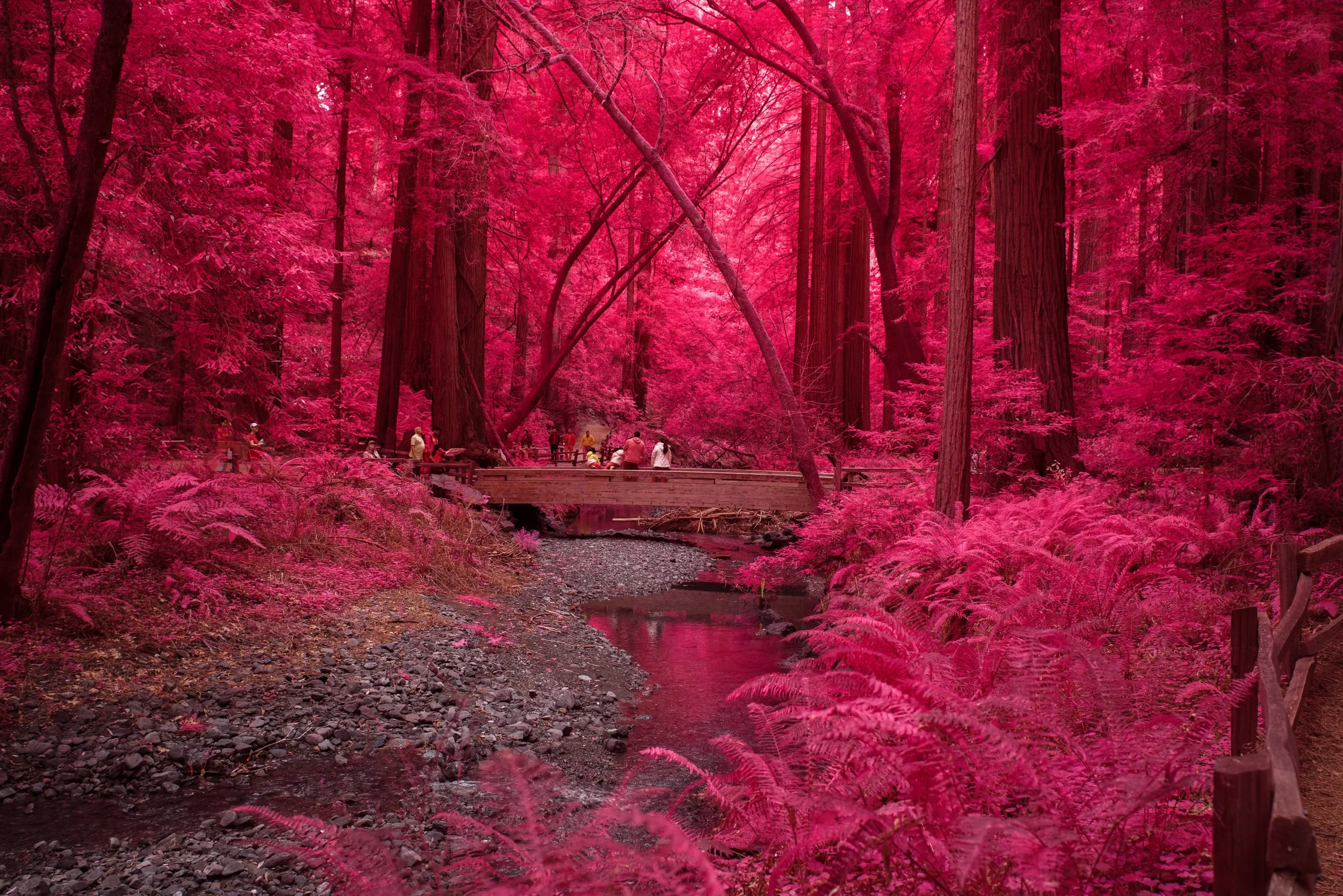 Entering the World of Infrared