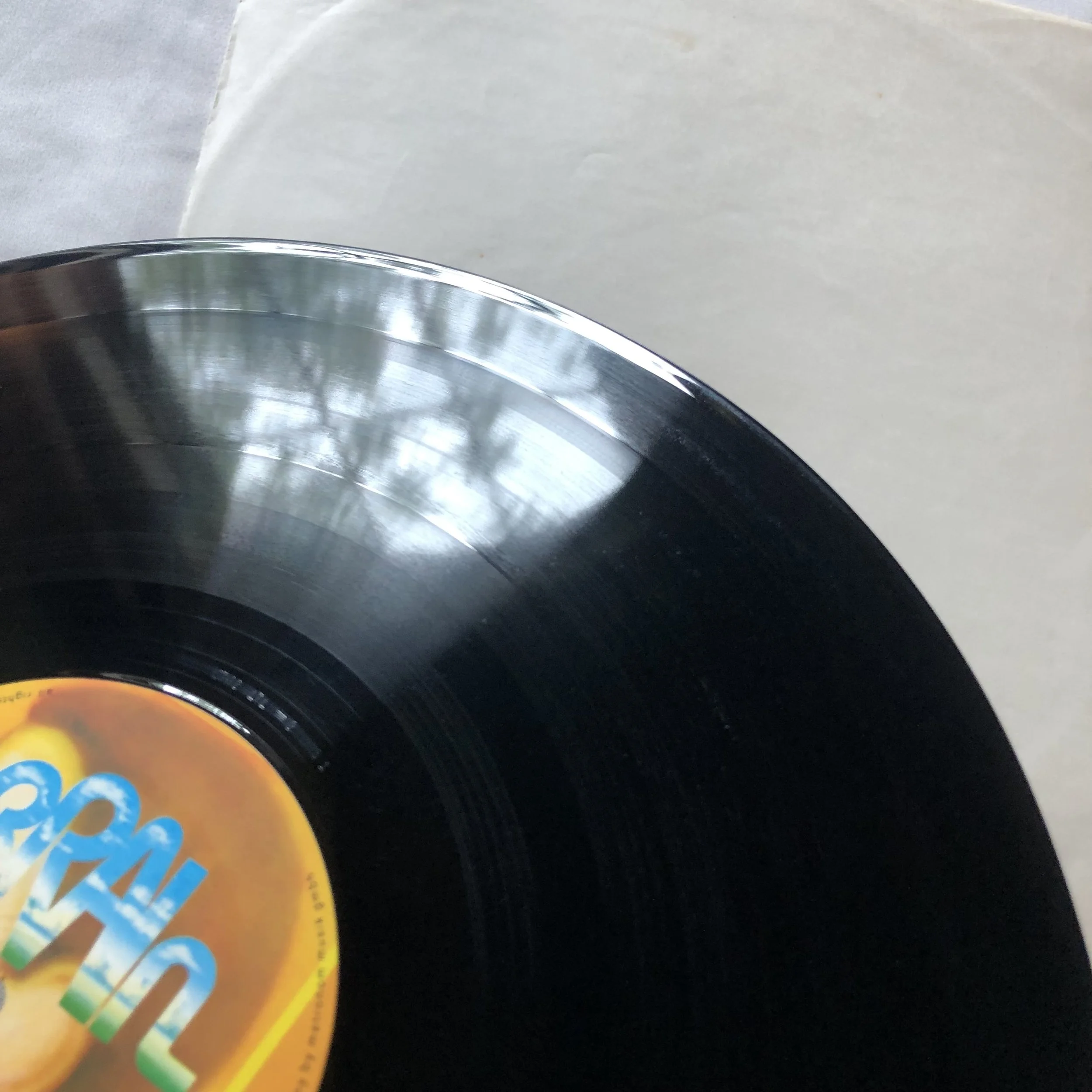IMG_7098.jpeg