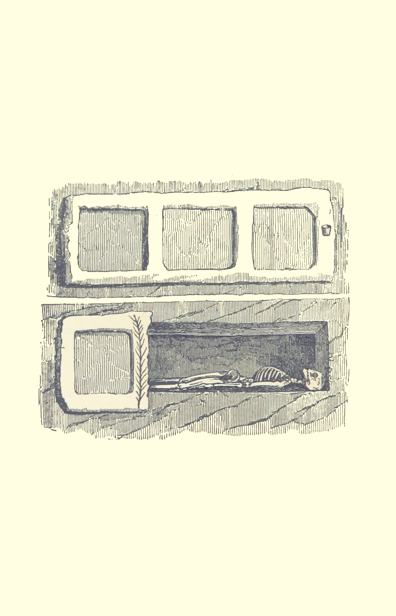 cassette cover solo.png