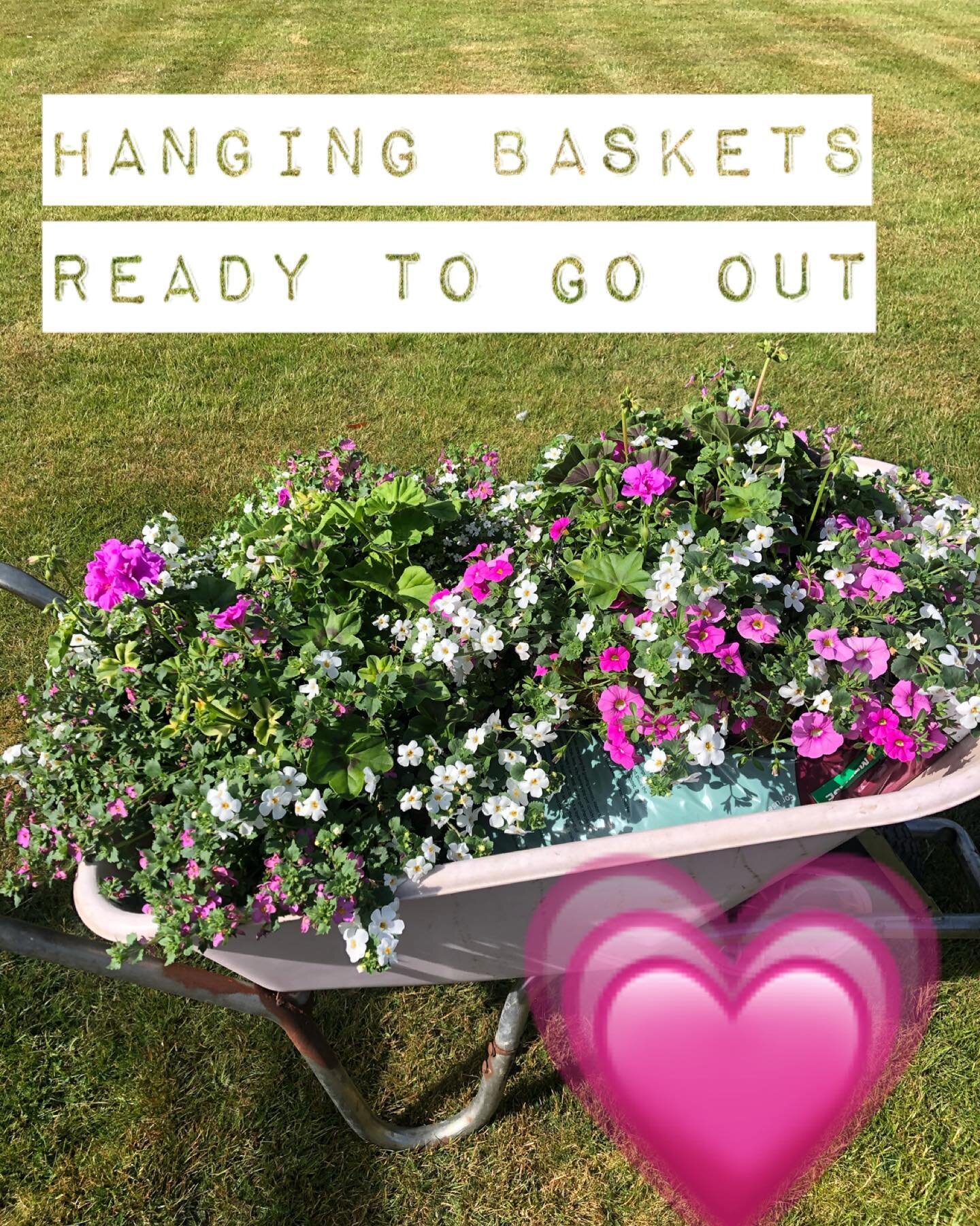 Love Mother Nature
#gardening#hangingbaskets 
#nature#flowers🌸🌺 #wheelbarrow #sunshine 🌞#greenfingers #beautiful #greenhouse