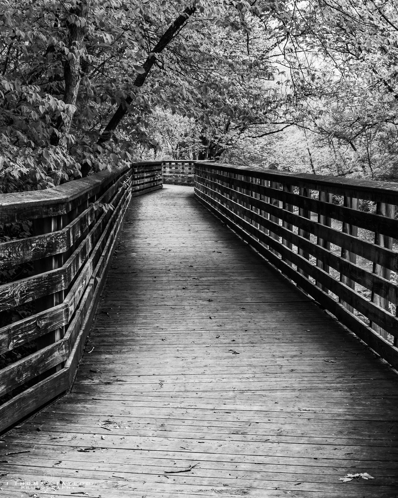 ZSC_0163 Portfolio 050620.jpg