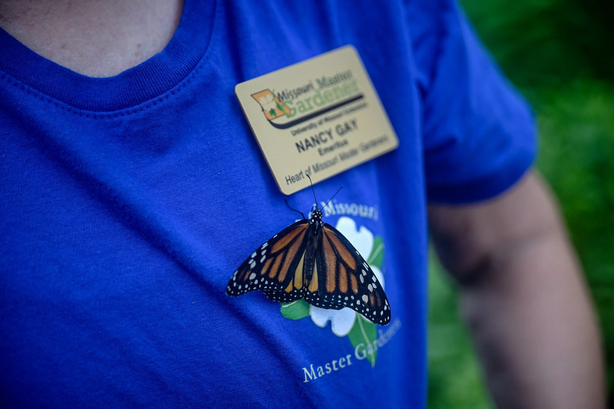 20260610_Butterflies release_MO_JTT174.jpg
