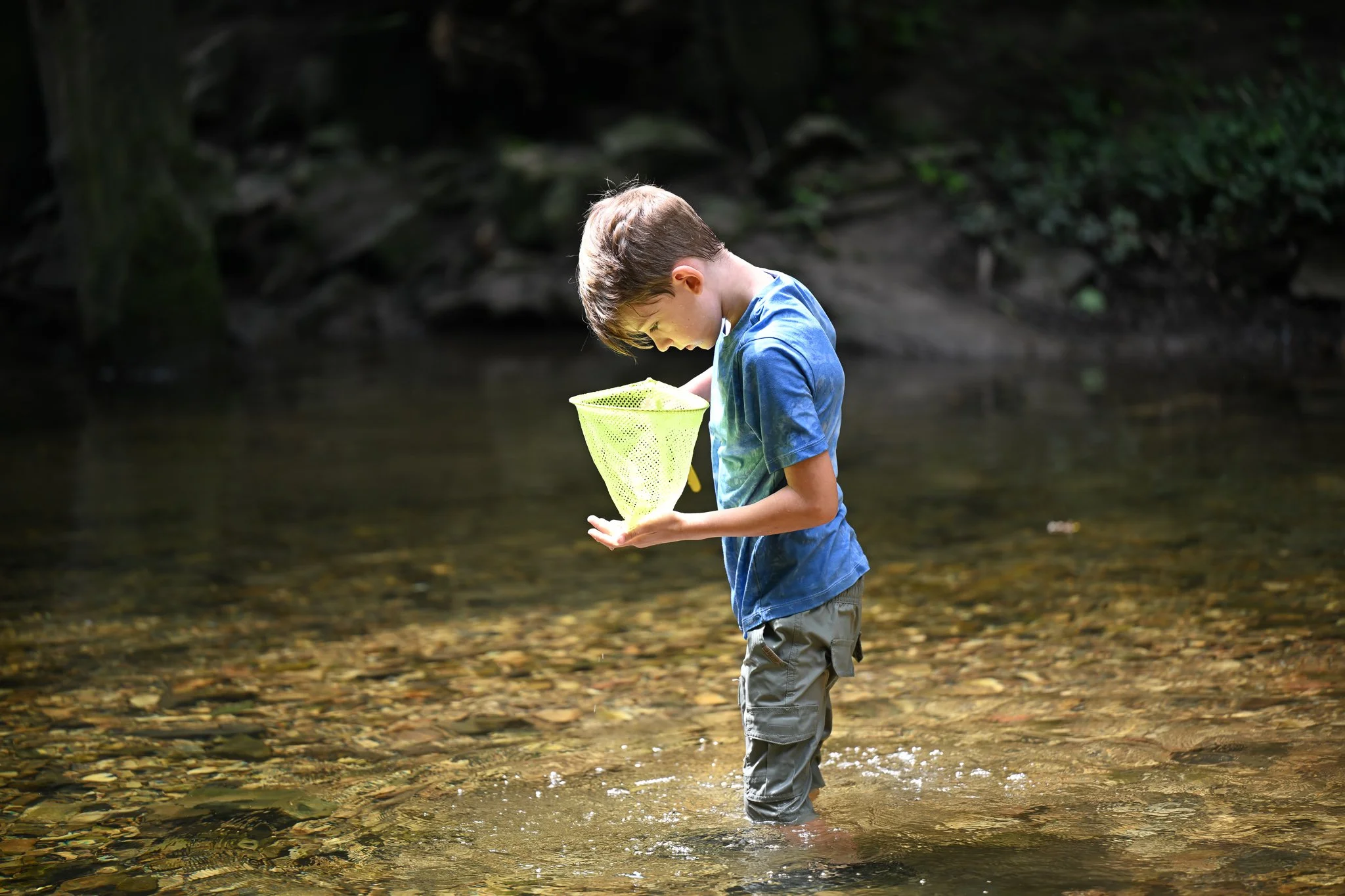 Lochlan Freeman, 8, looks into his fishing net to inspect what he pulled from the water  on Wednesday, June 24, 2026, at Flat Branch Creek in Columbia. “He likes to catch frogs and minnows while we are at the creek,” Ali Freeman, his mother, said.