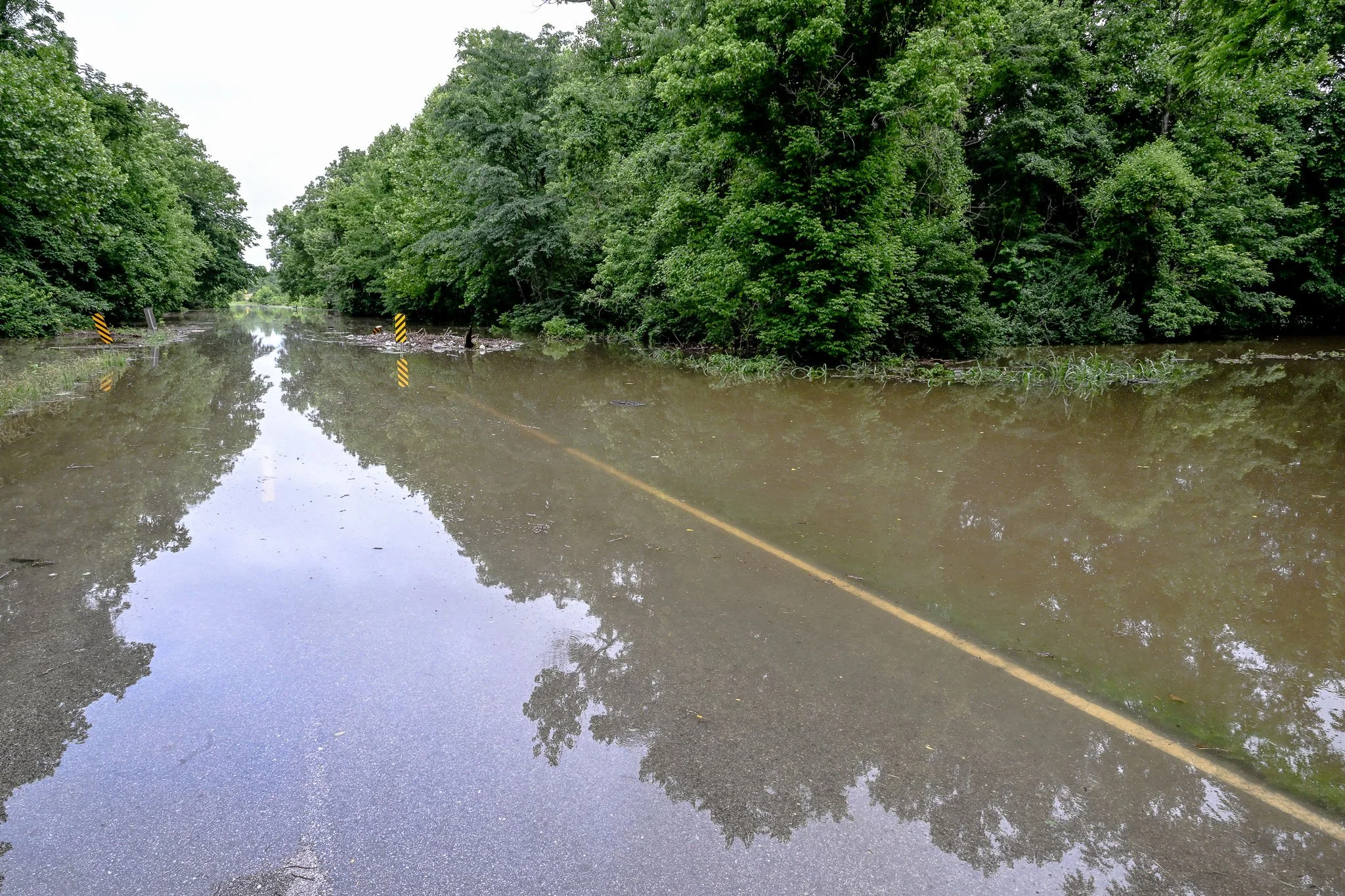 20260608_FloodingColumbia_JTT 186.jpg