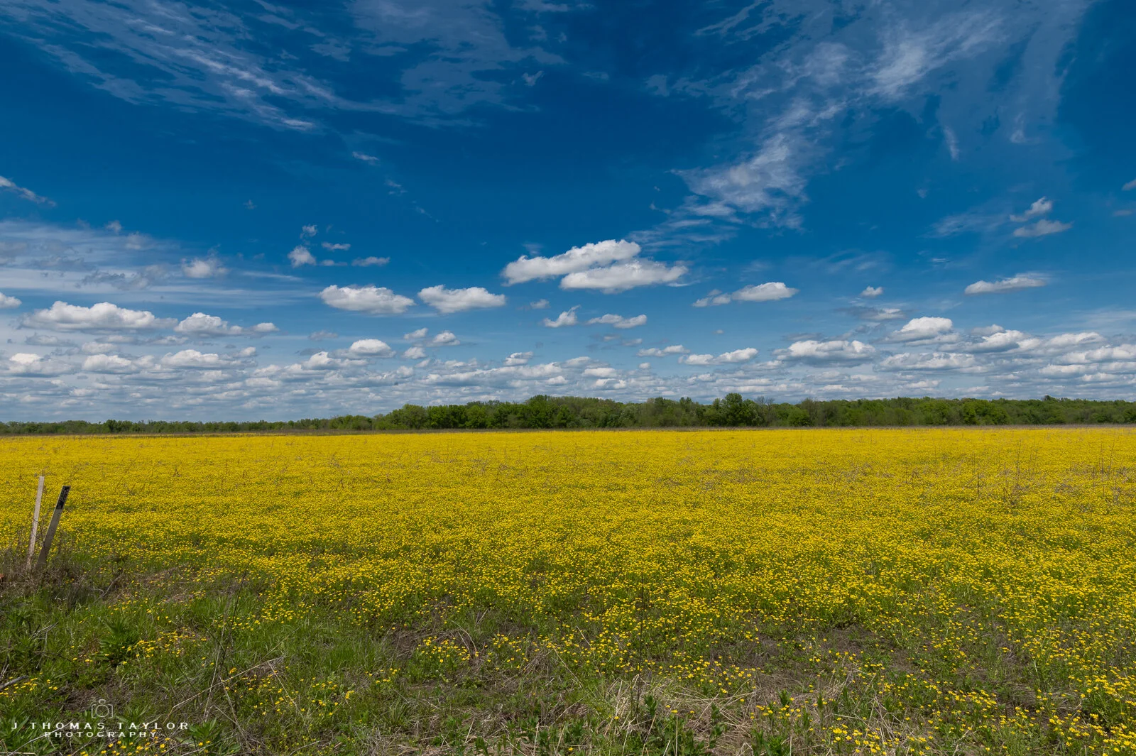 ZSC_0317 untitled shoot.jpg