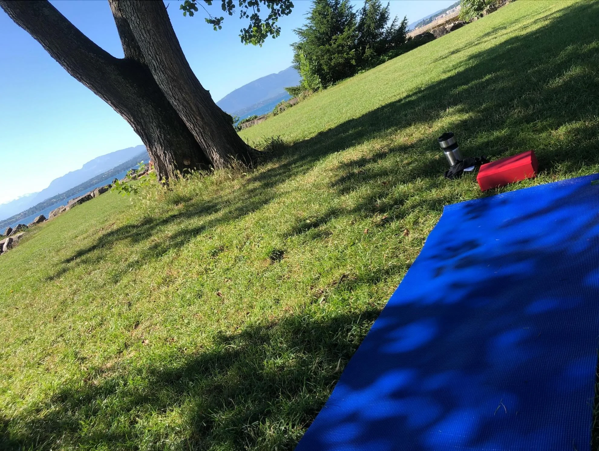 Should we practice in this heat 🥵🥵🥵?

For me, yoga is the perfect choice, with a myriad of options to slow down and take gentle care of myself. With the body working so hard just to function, I&rsquo;ll choose a slow-flow that unwinds more than it