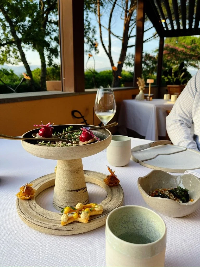 michelin dining in fayence, terre blanche