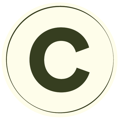 logo option-light-02.png