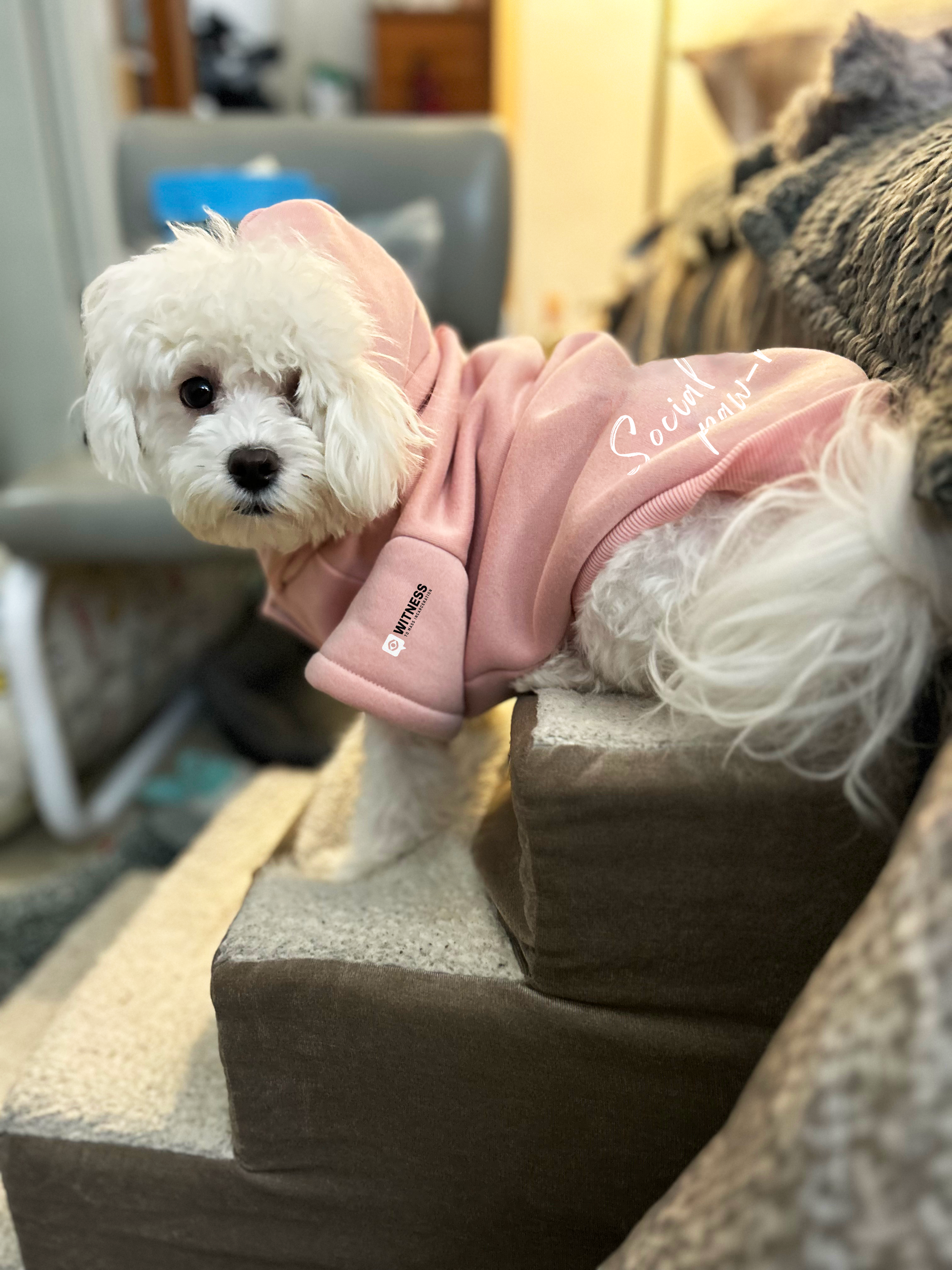 BooBoo Hoodie 1.png