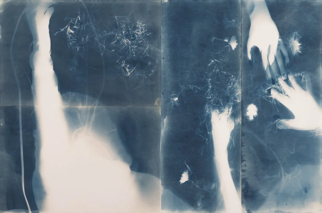 December 2019 - January 2020: Edie Bresler, Yorgos Efthymiadis, &amp; Joseph Wheelwright