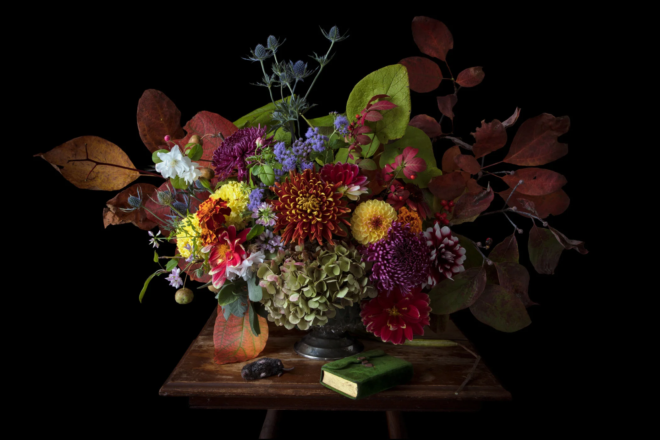 March - April 2019: Emily Belz, Laura Chasman, &amp; Kimberly Witham