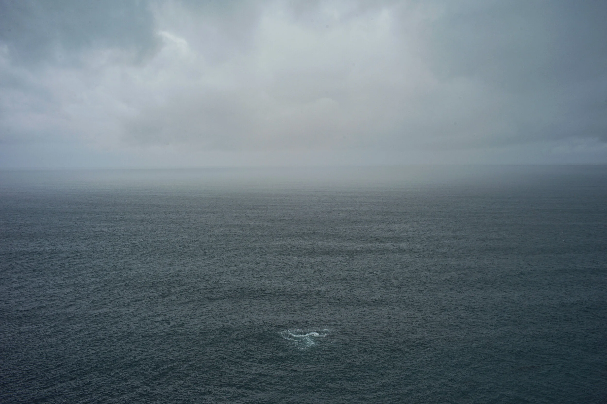 July - August 2019: "Water: A Summer Celebration" // Curated by Gus Kayafas
