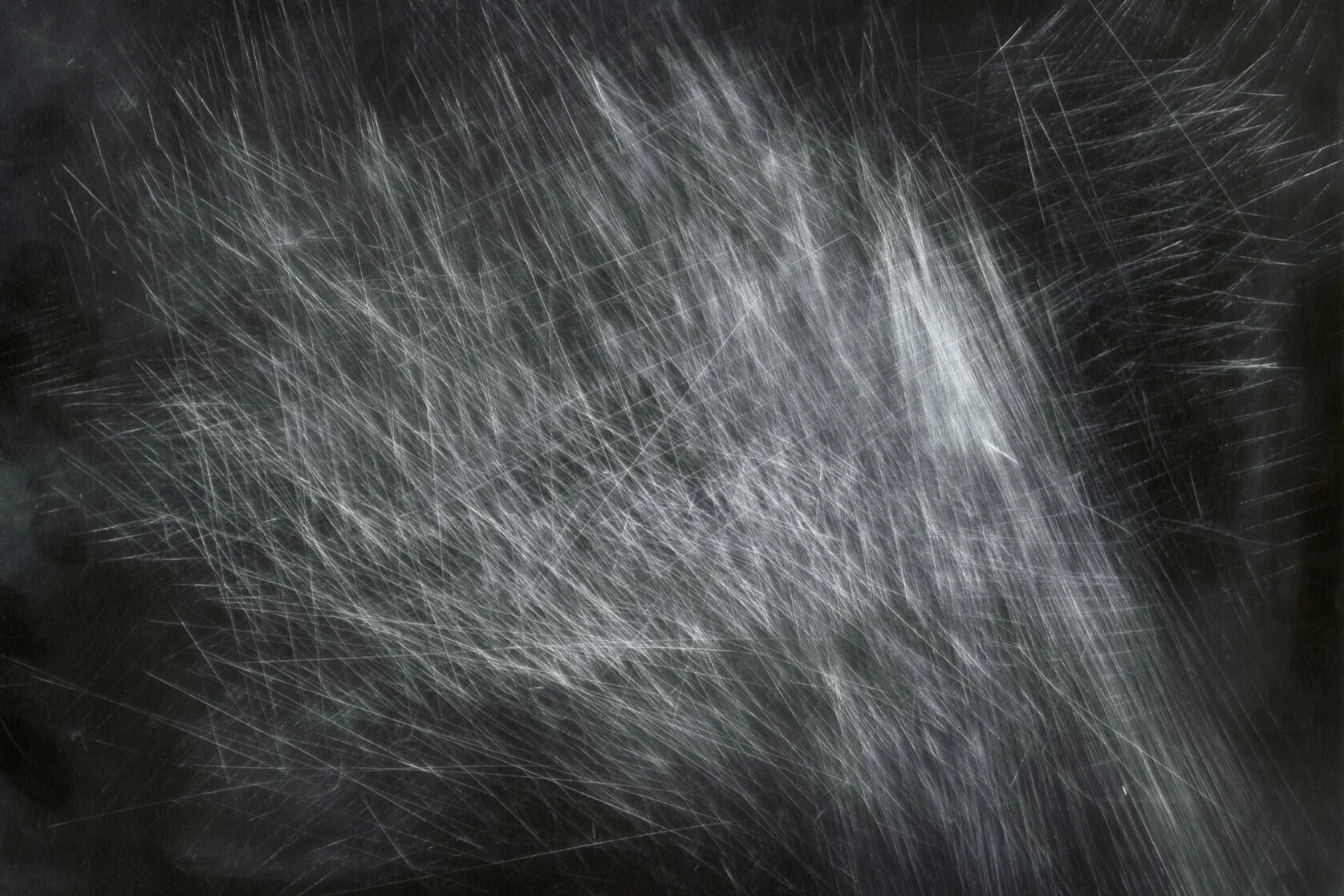 December 2018 - January 2019: Judy Haberl, August Ventimiglia, &amp; Harold Edgerton