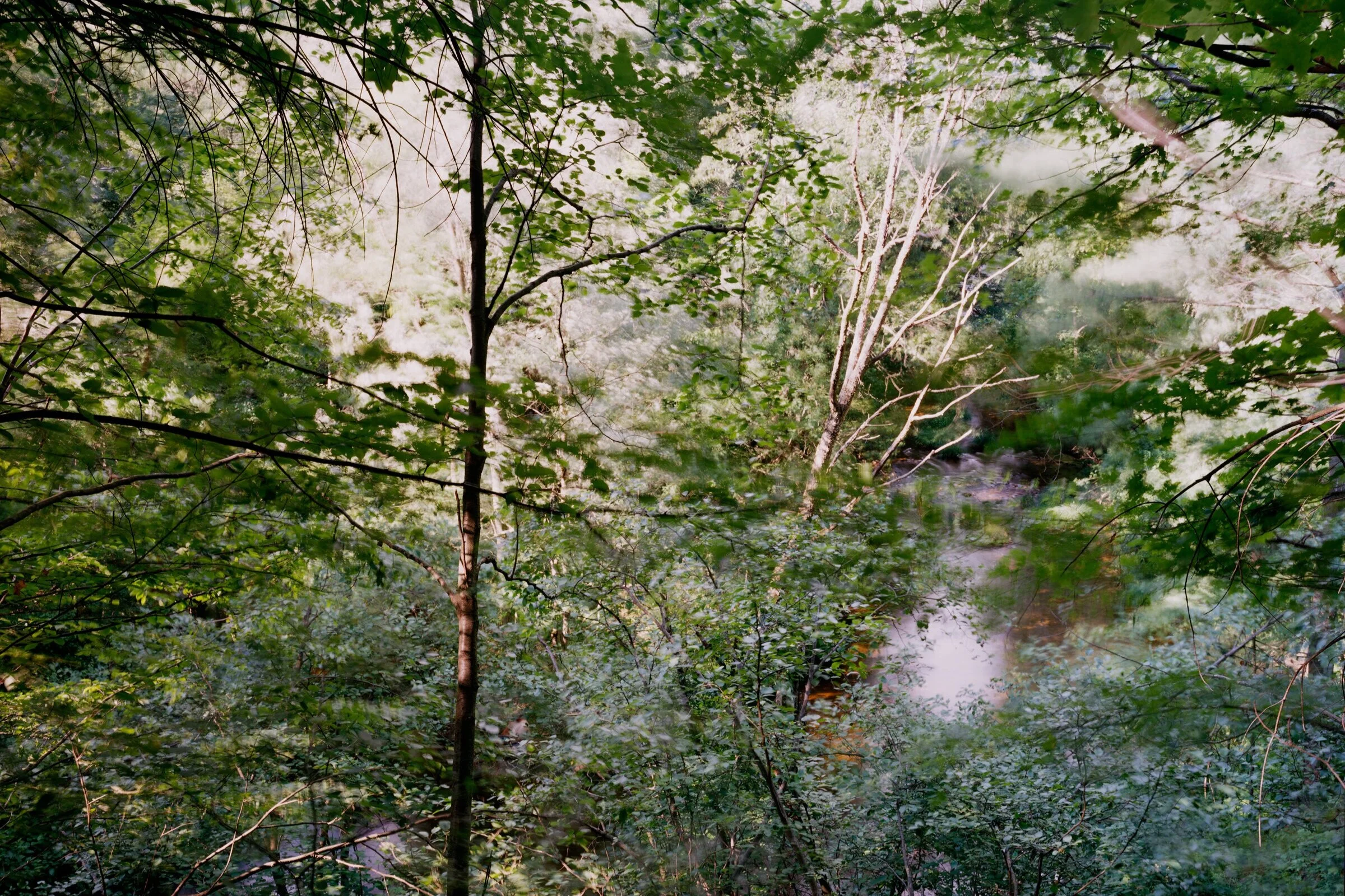 October - November 2020: Bruce Myren, Bill Franson, &amp; Vanessa Leroy