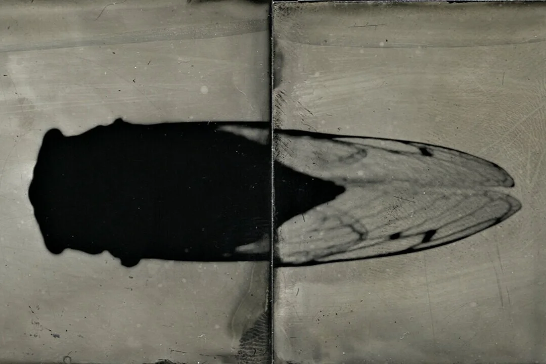 December 2015 - January 2016: Resonances, Brett Angell, &amp; S. Gayle Stevens