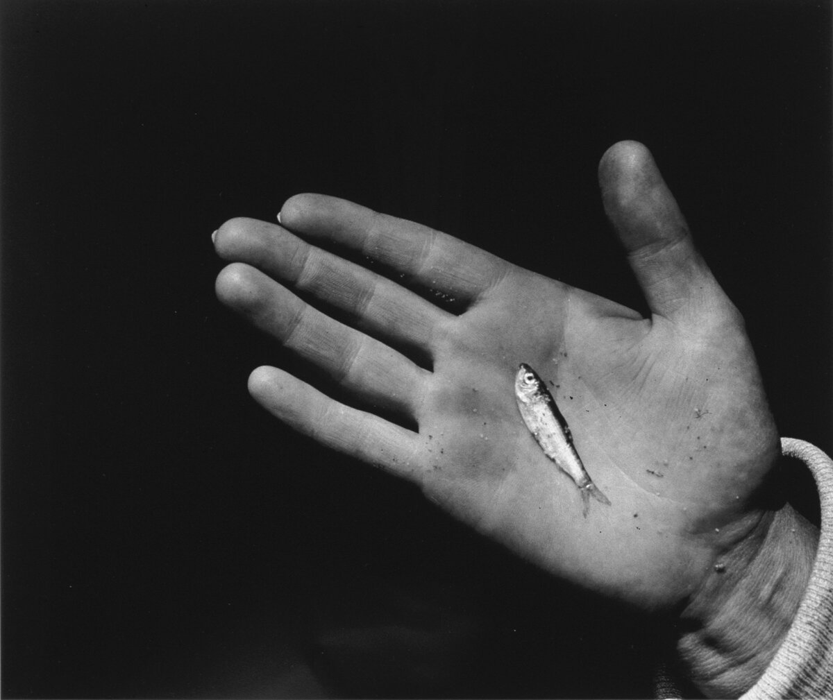 Siskind, Hand, MV ca 1942.jpg