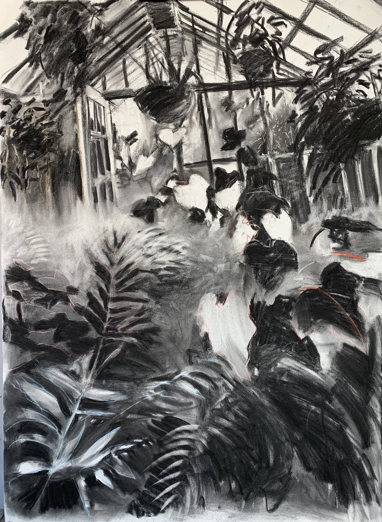 JJ4679_Charcoal Greenhous.jpeg