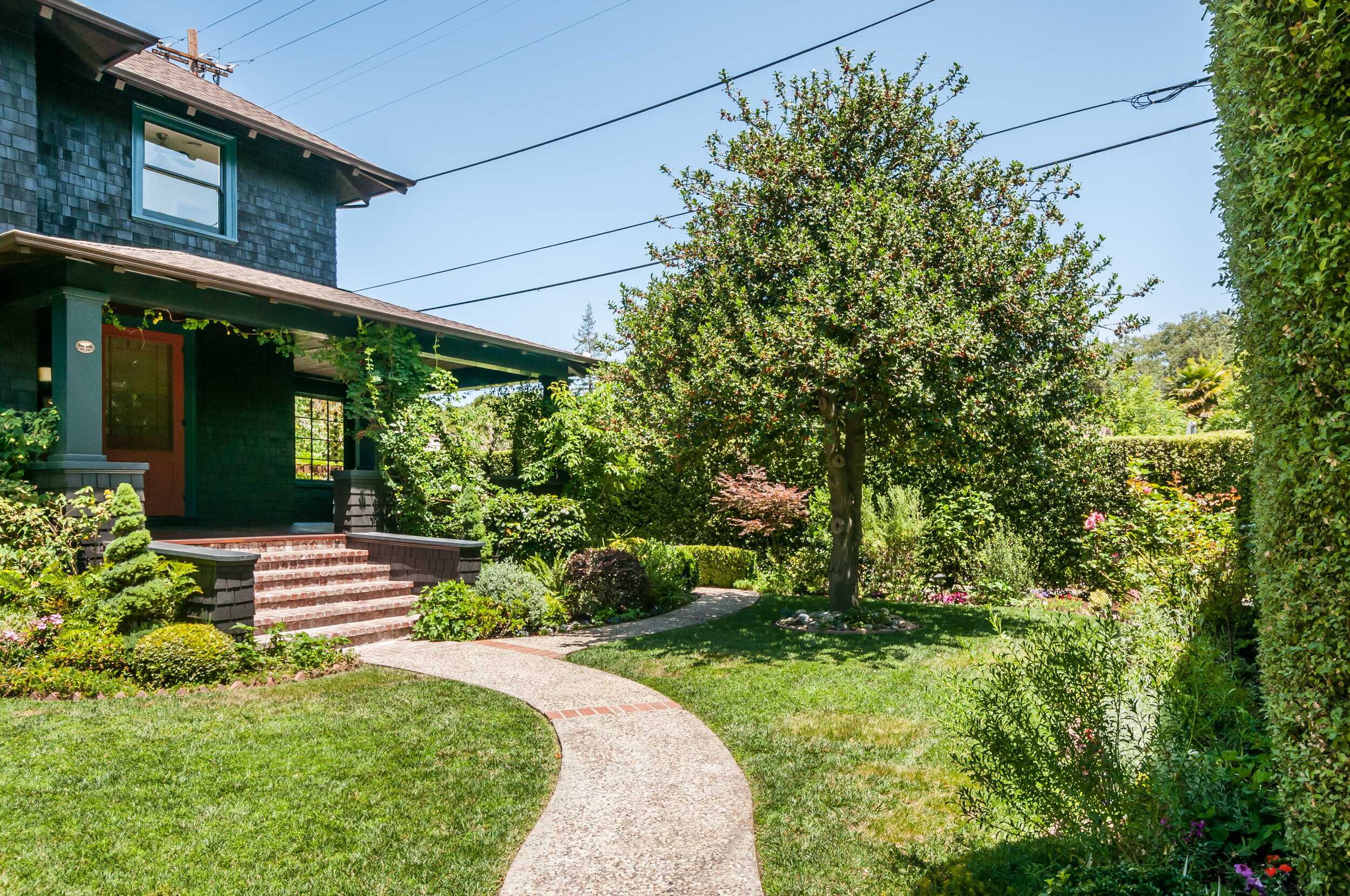 Front Yard .jpg