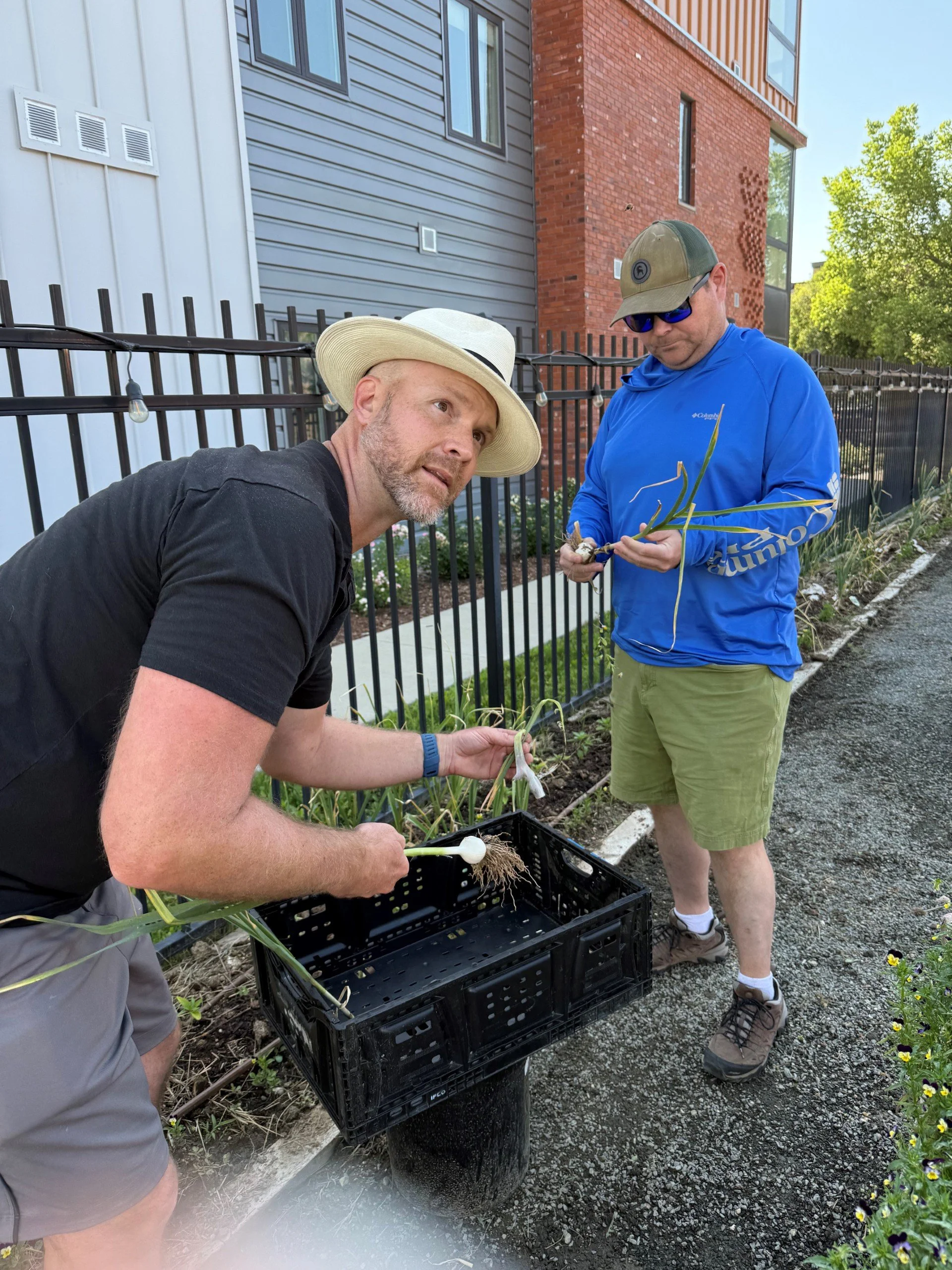 Row of tower gardens. 