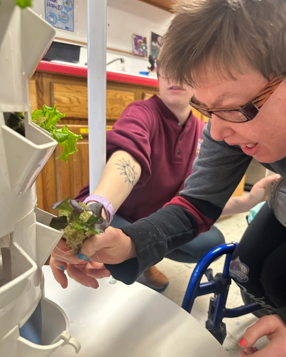 ACE participant plants JFS Altius Farms Tower.