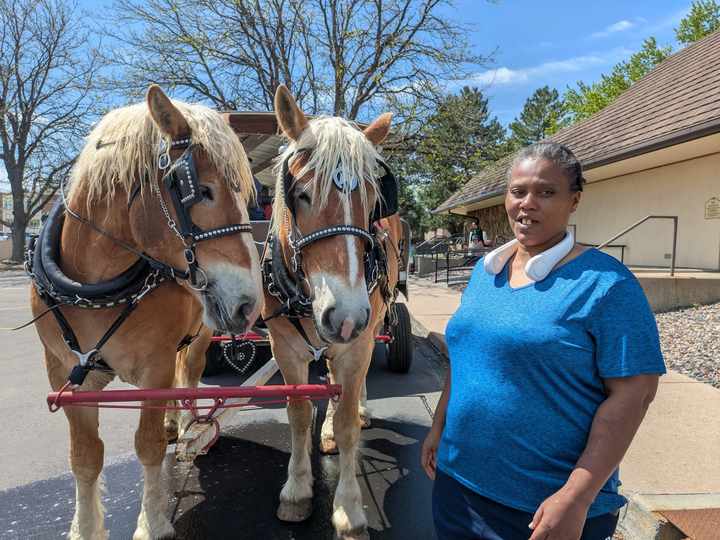 NM Horses 5.2025.jpg