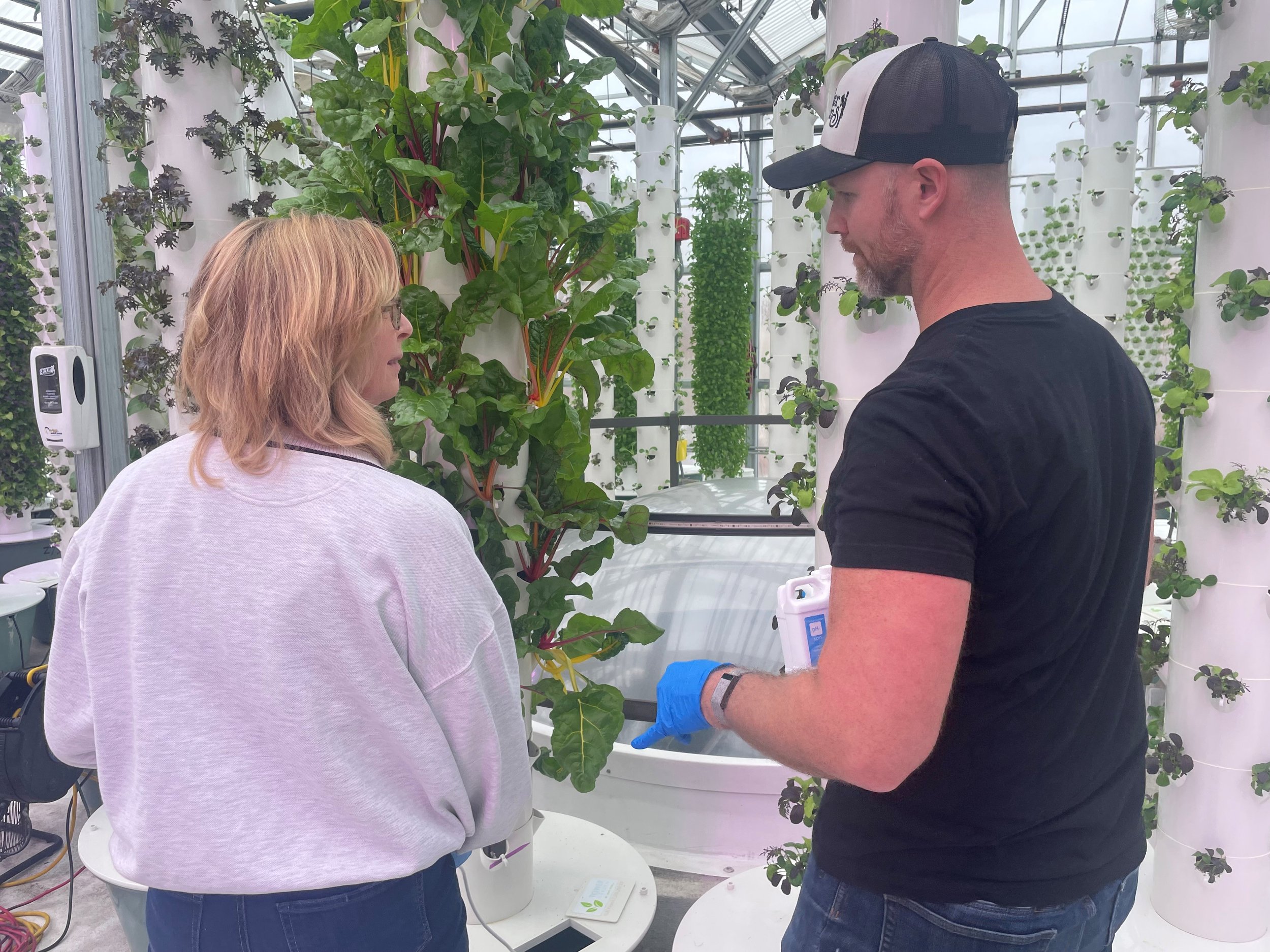 Two people working in an aeroponic farm.