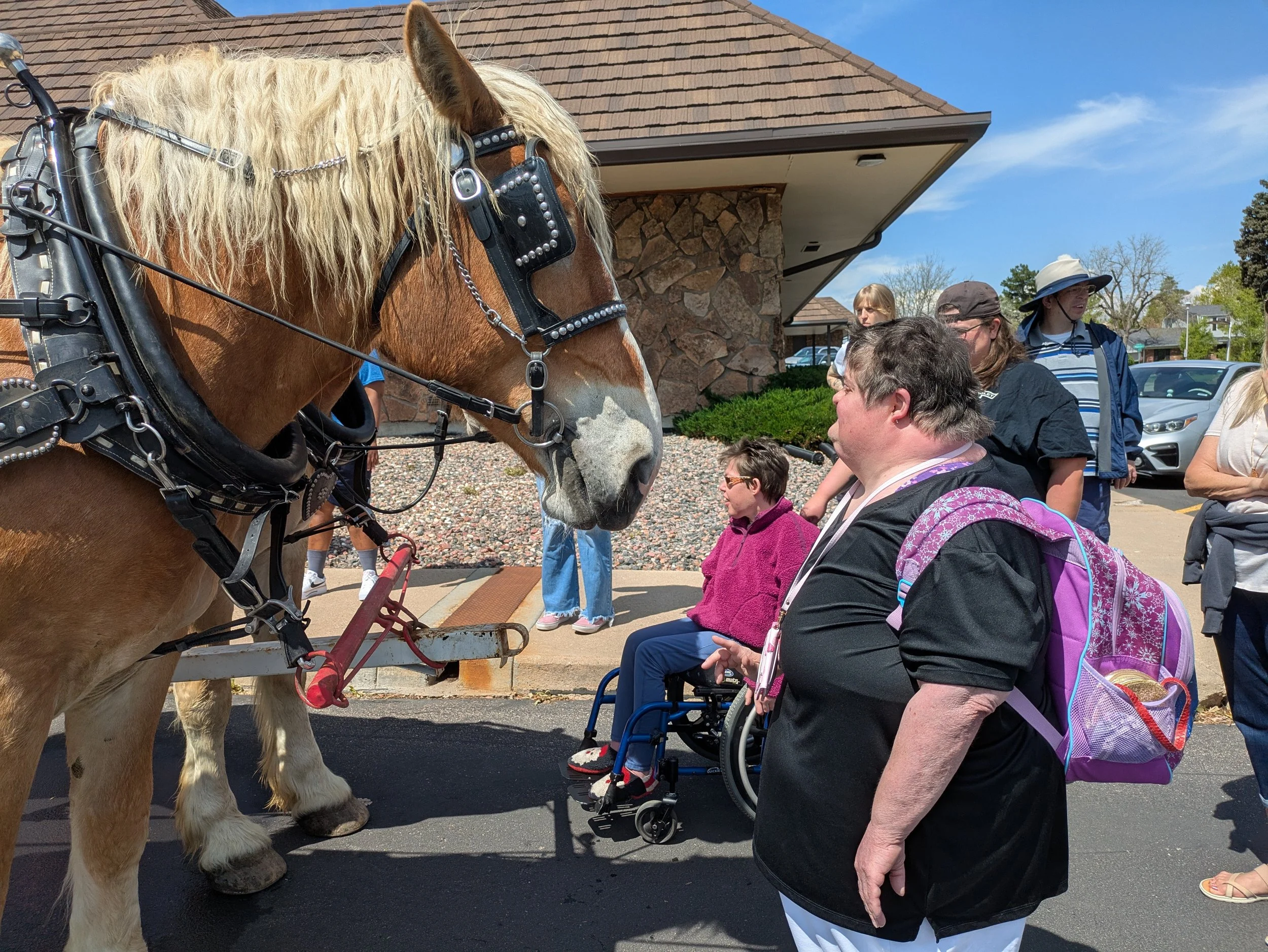 JC Horses 5.2025.jpg