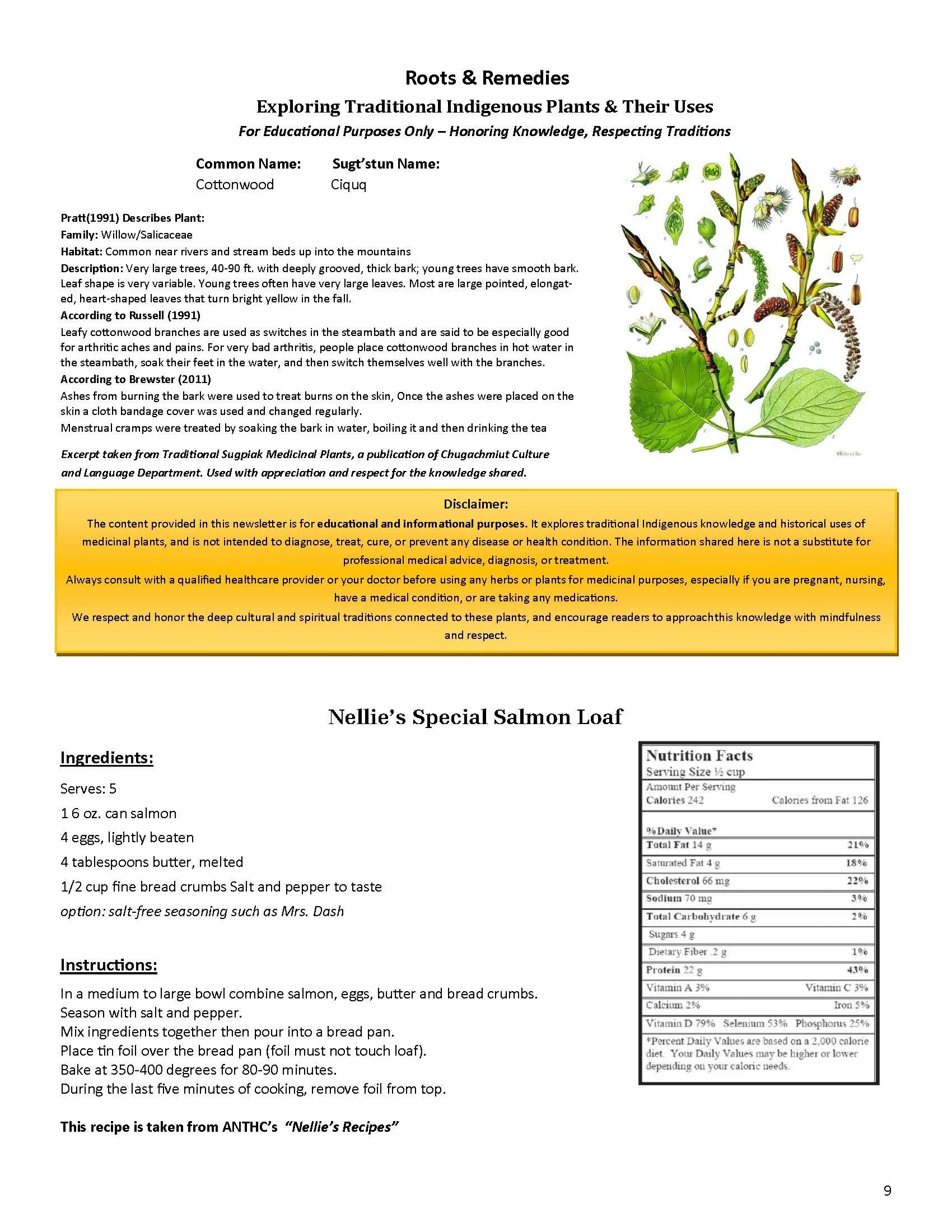 Spring Wave 2026_Page_09.jpg