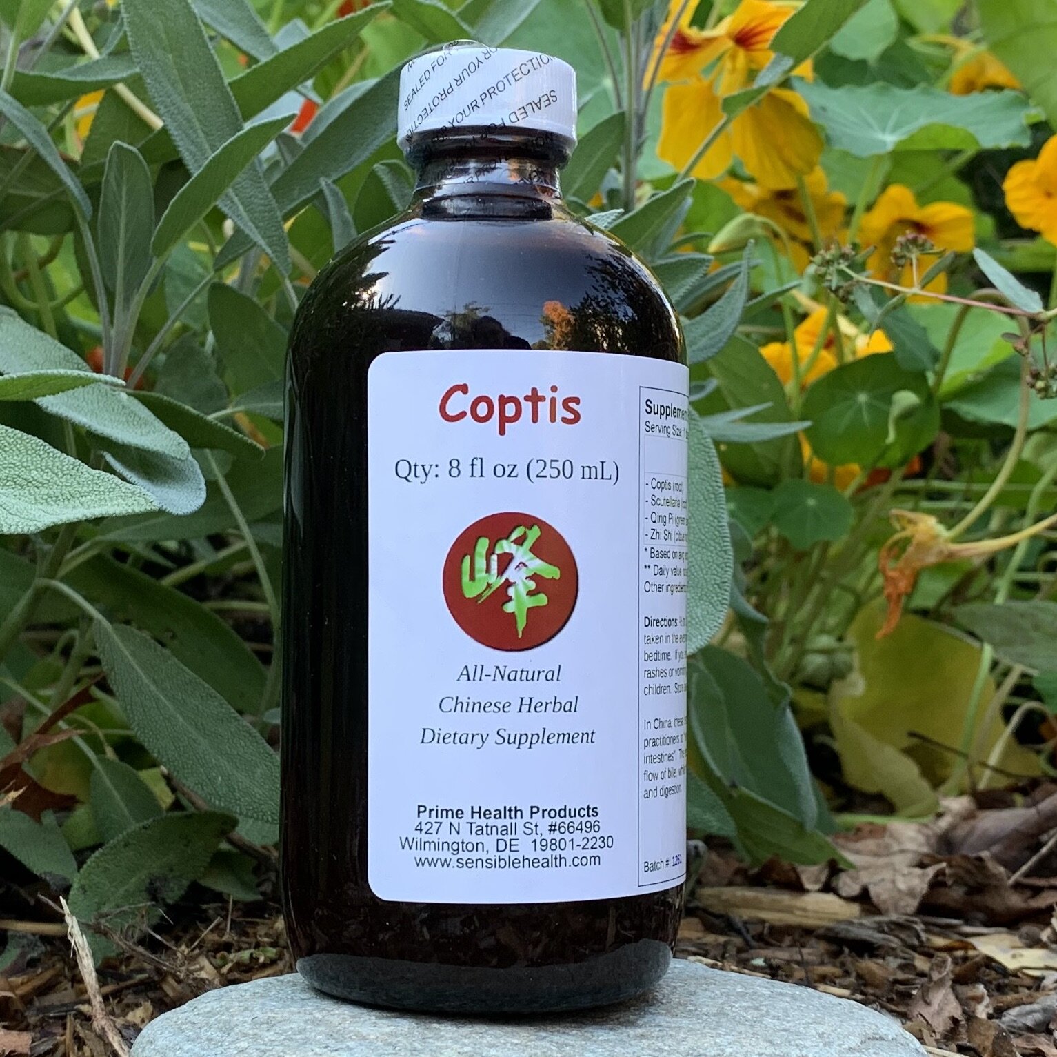 coptis tincture.jpeg