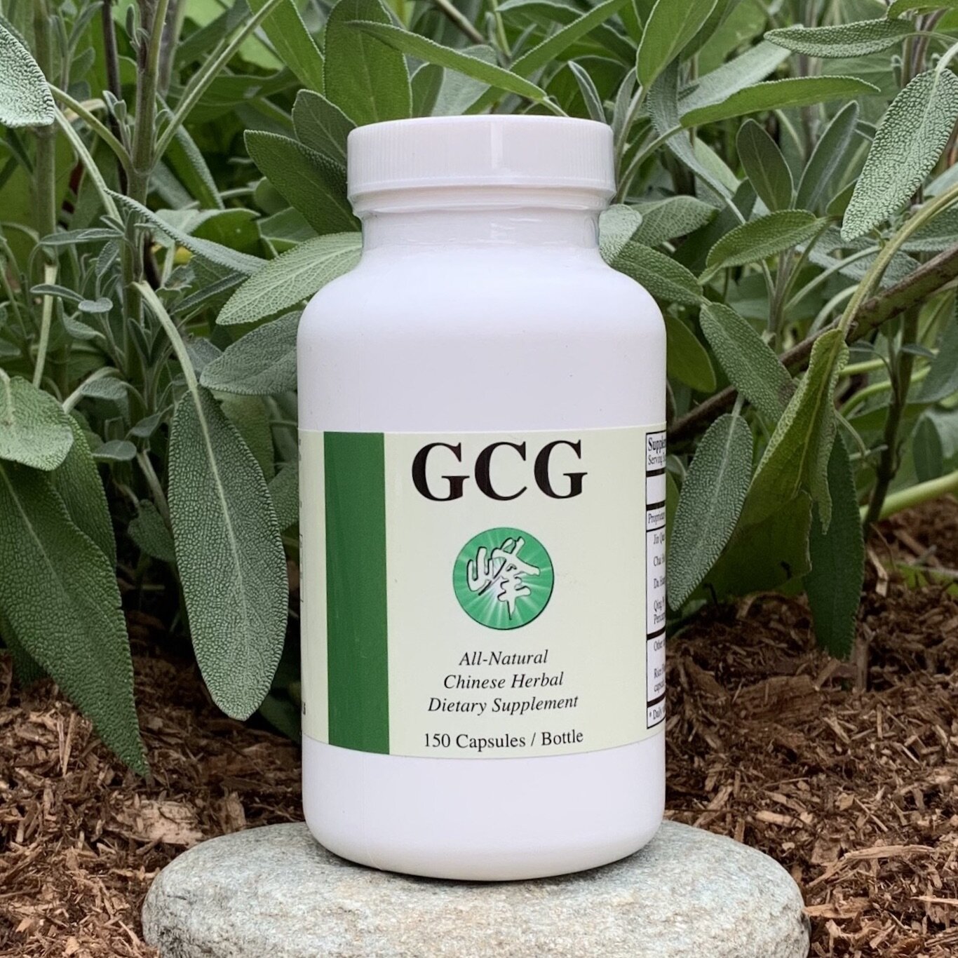 gold coin grass capsules 2.jpeg
