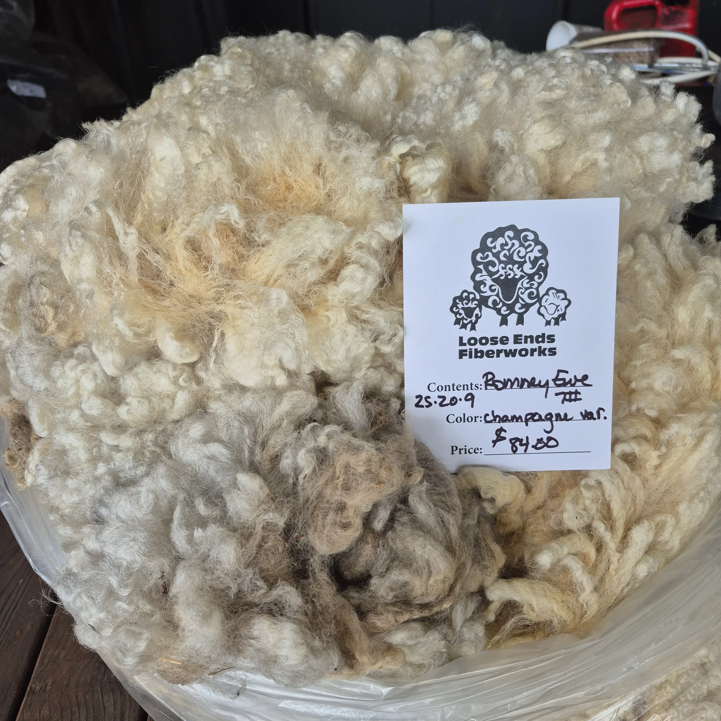 Romney Ewe fleece 25-20-9
