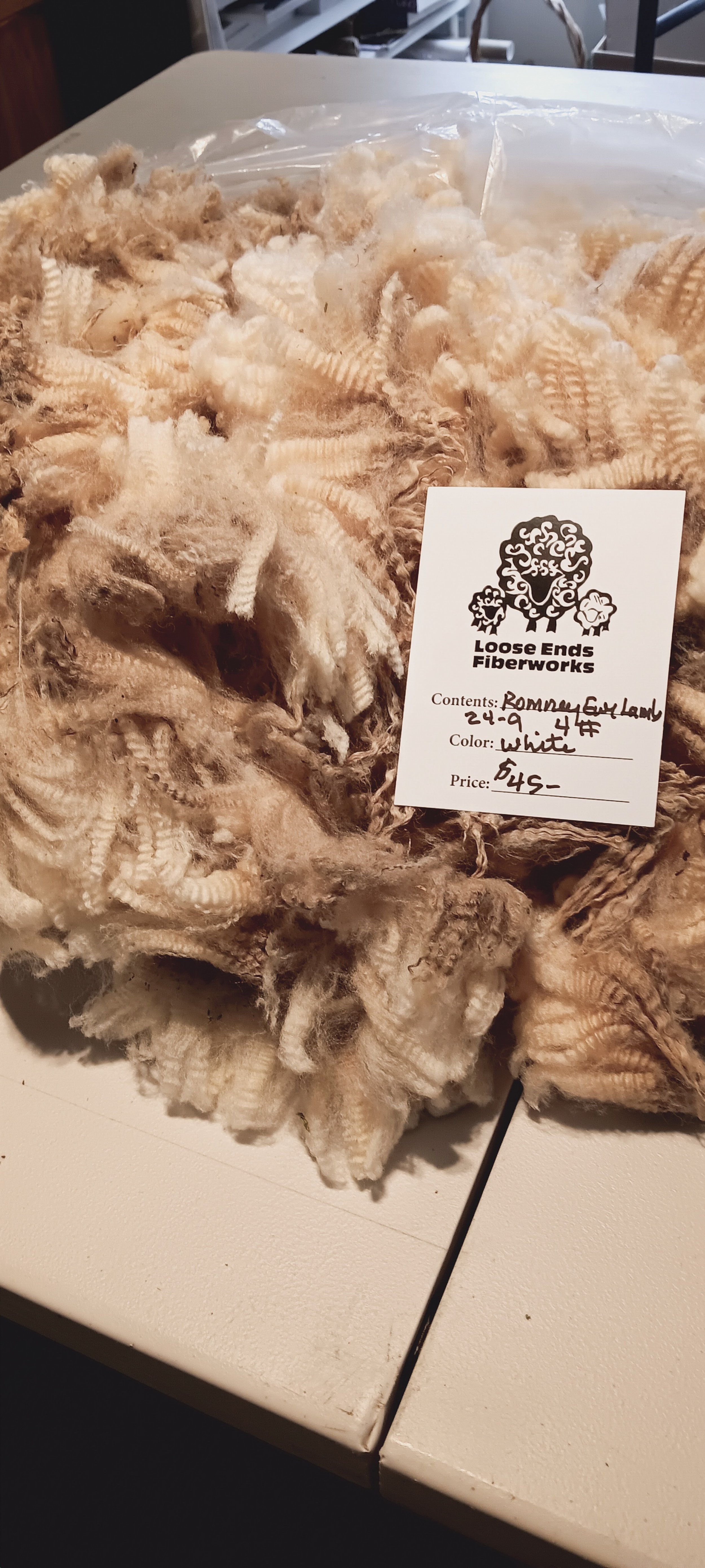 Romney Ewe Lamb Fleece 24-9