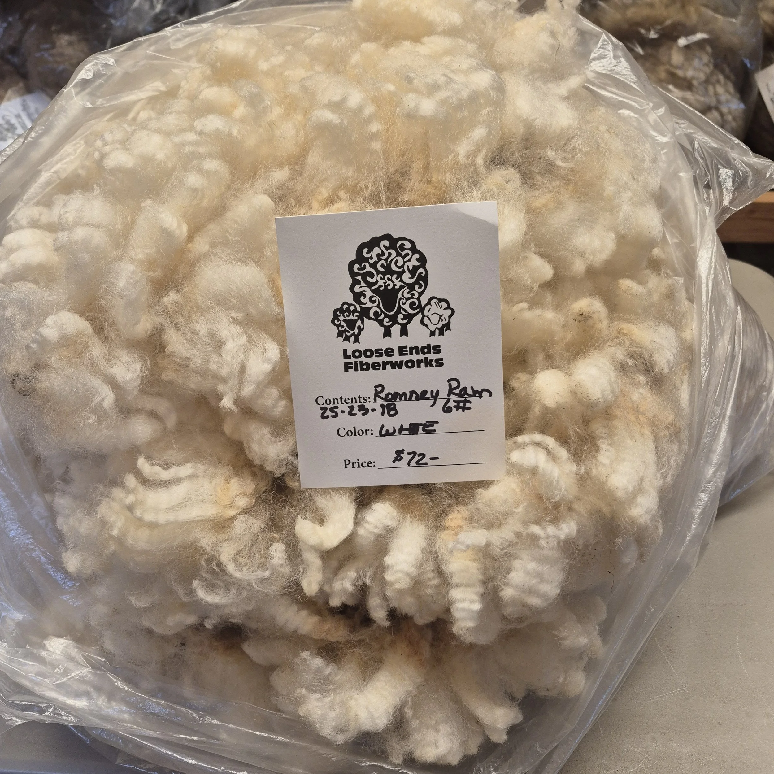 White Romney ram fleece 25-23-18