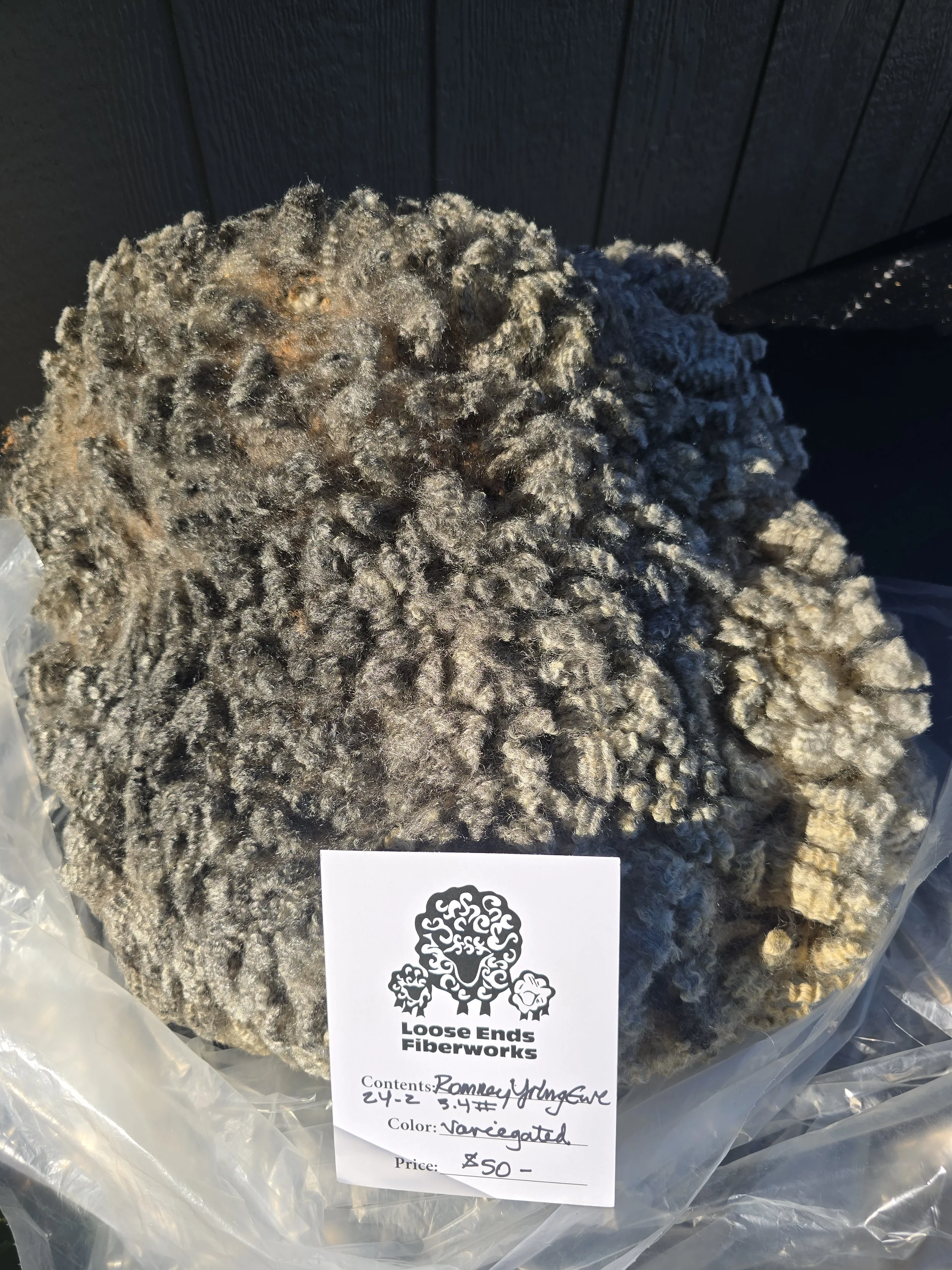 Yearling Romney ewe fleece 25-24-2