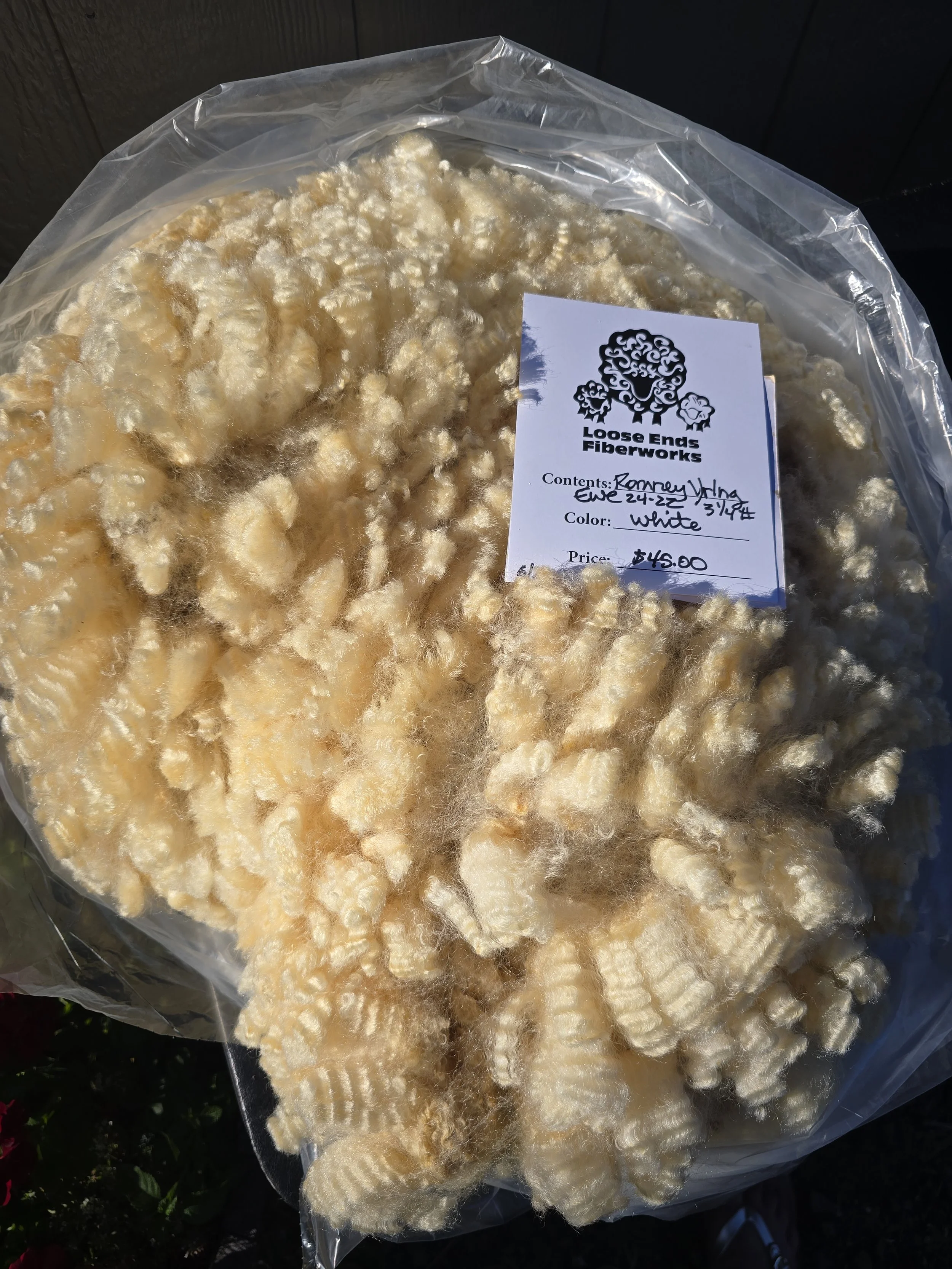 Yearling Romney ewe fleece 25-24-22