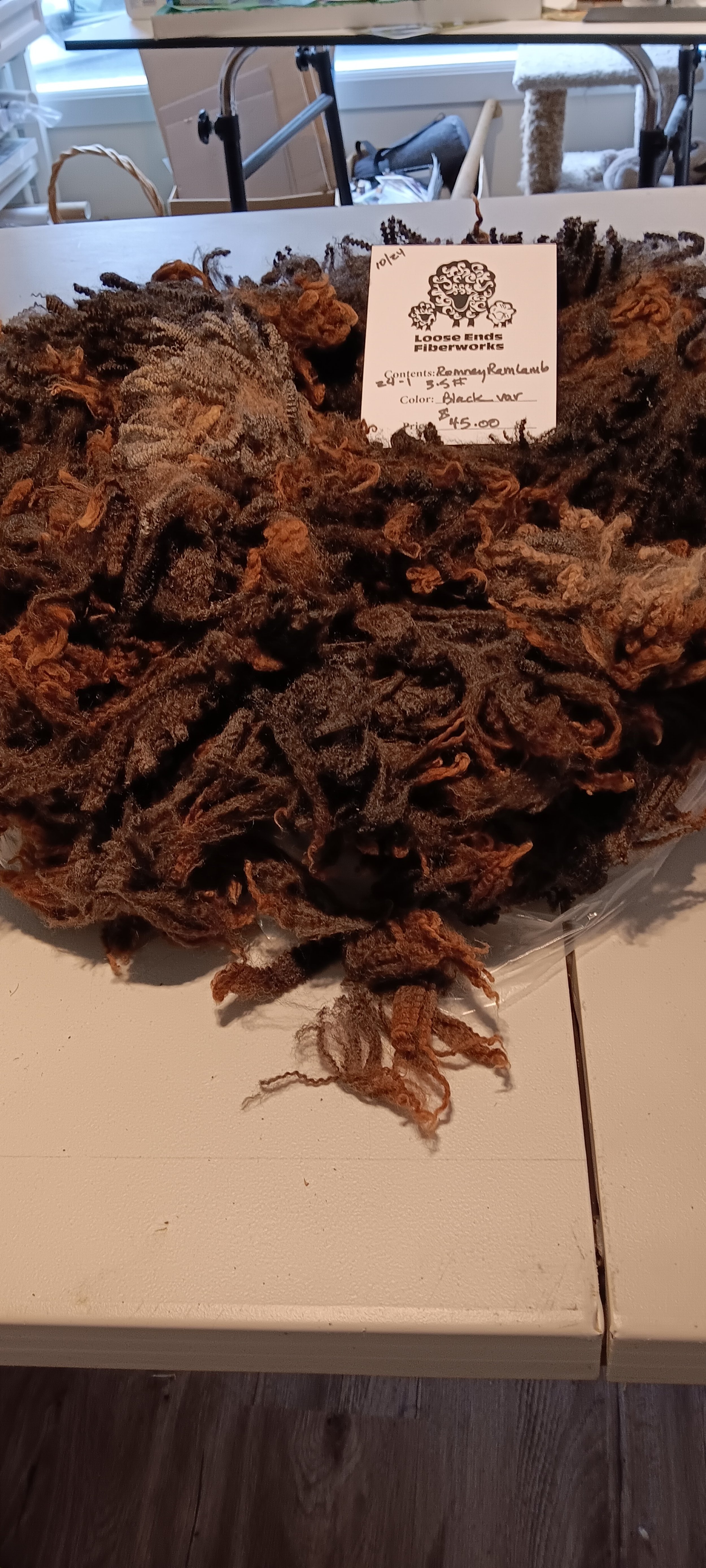 Romney ewe lamb fleece 24-1