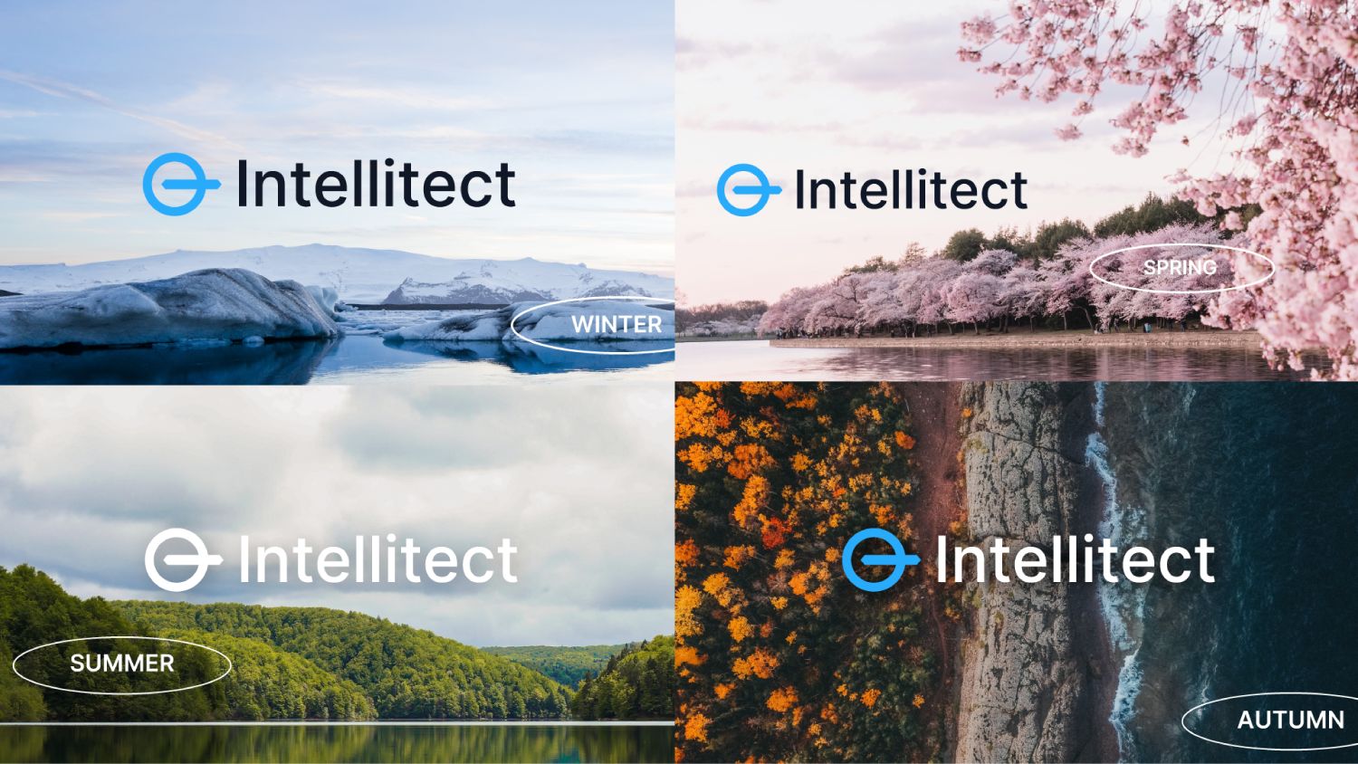 Intellitect-Seasons.png