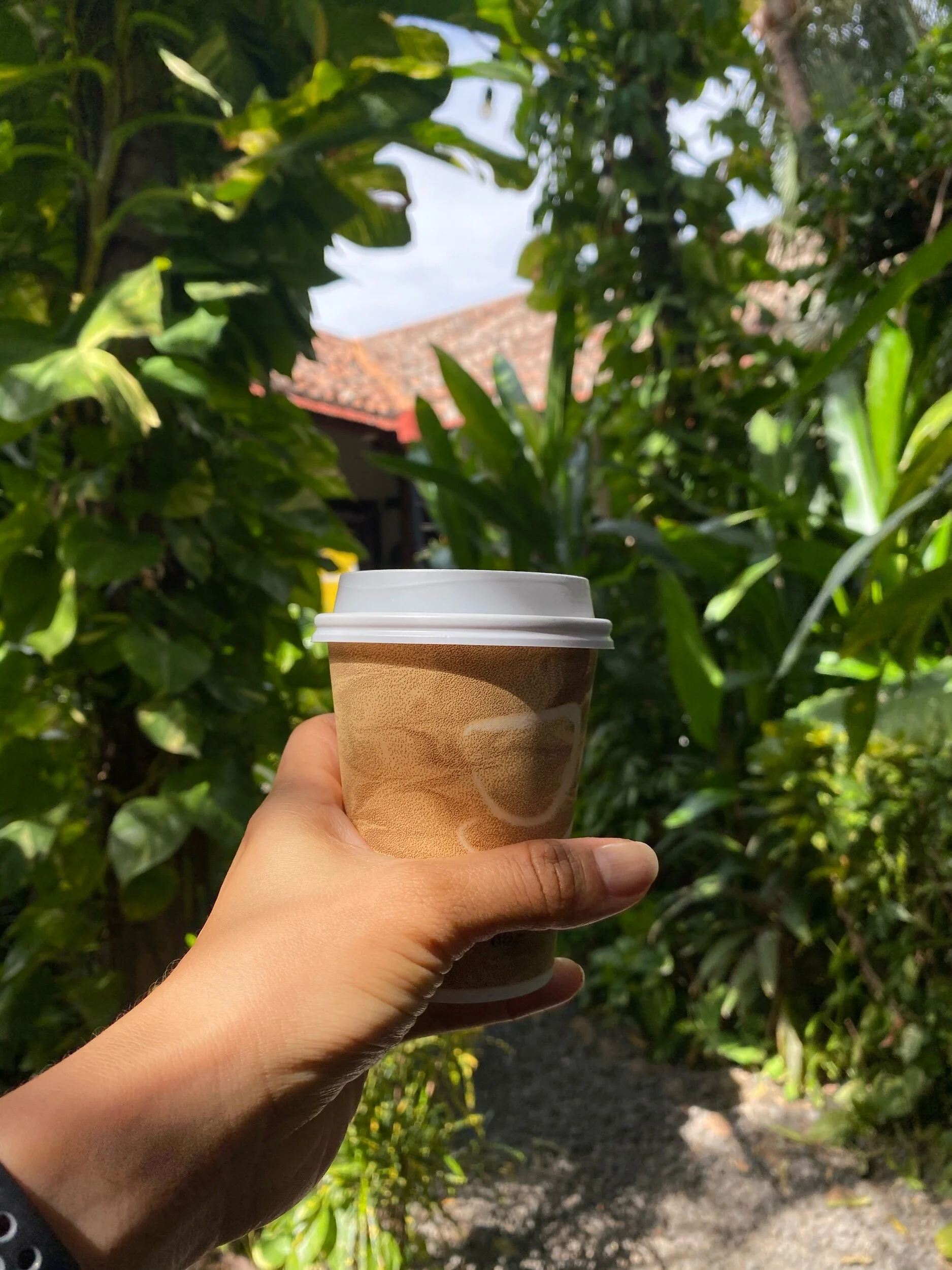 The Garden Cafe: Los 3 desayunos más energizantes.