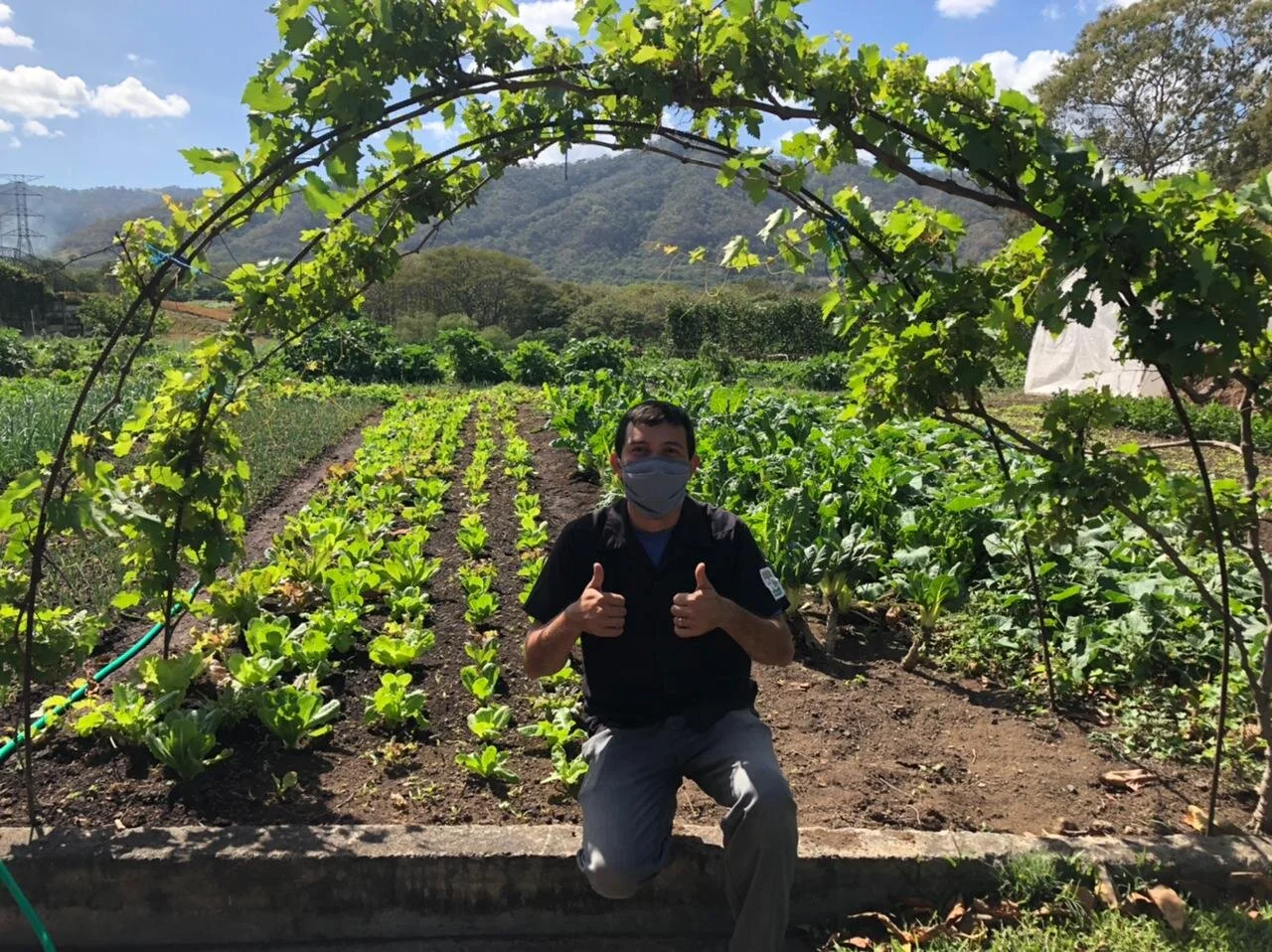 The Garden Cafe: ensaladas, alimentación consciente e impacto social.