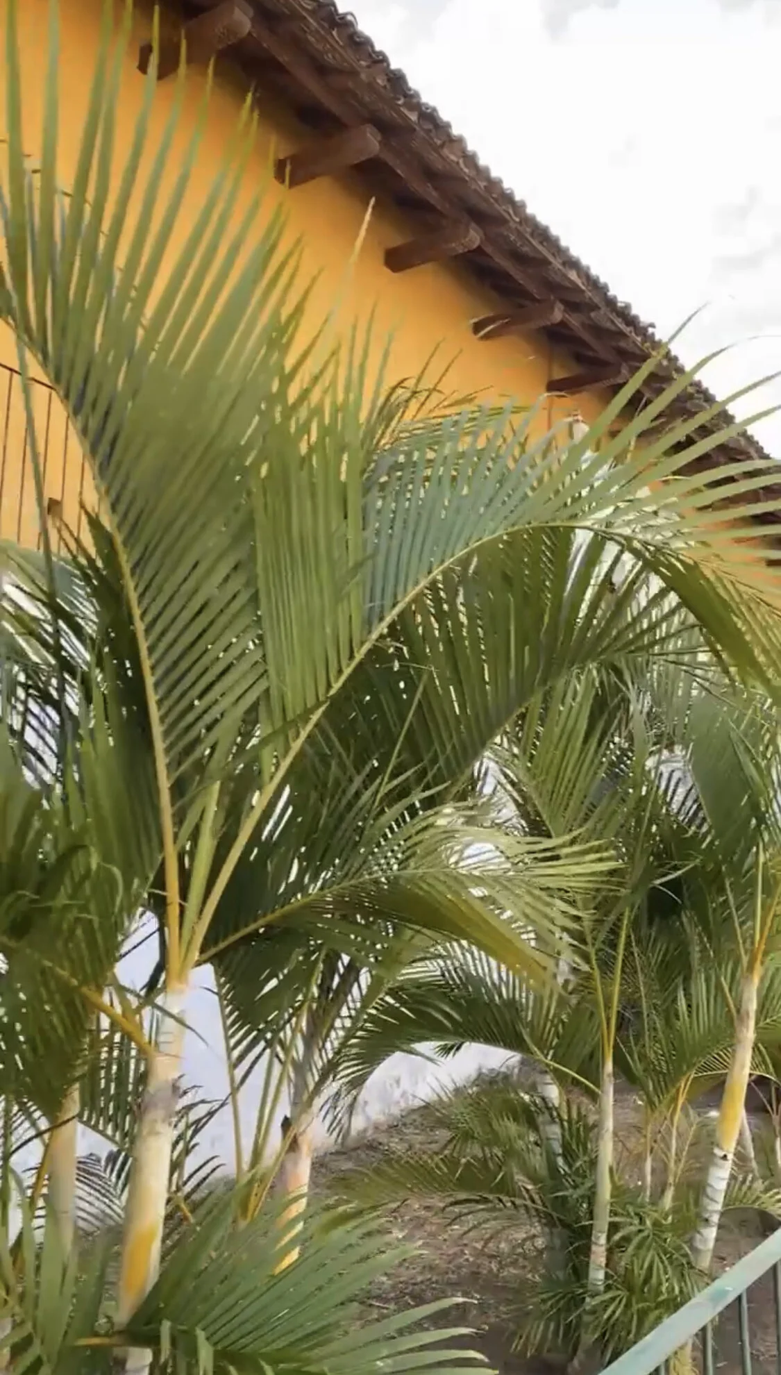  5 Morning Musts in Granada