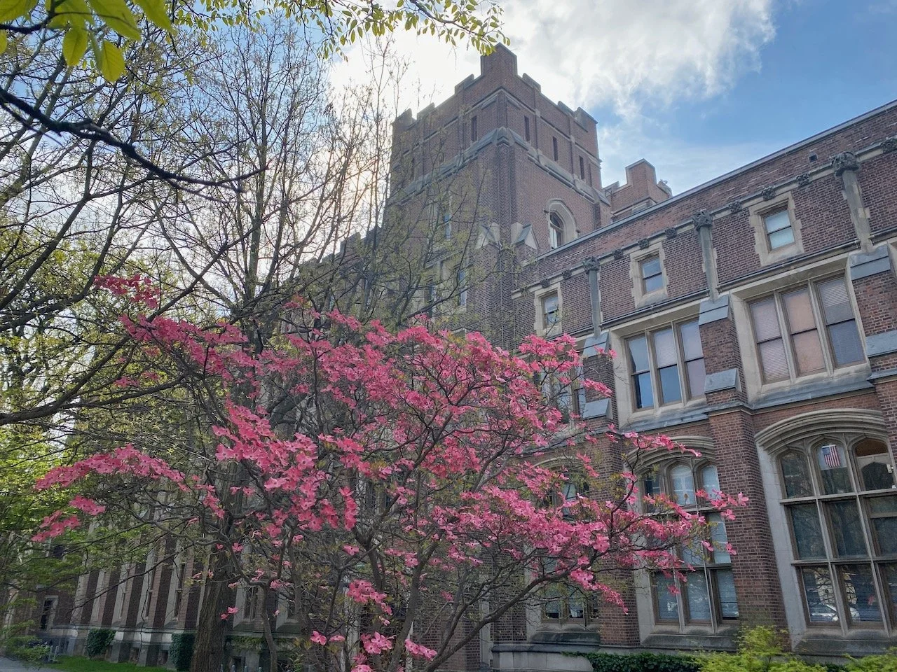 Adaptive Reuse in Higher Education