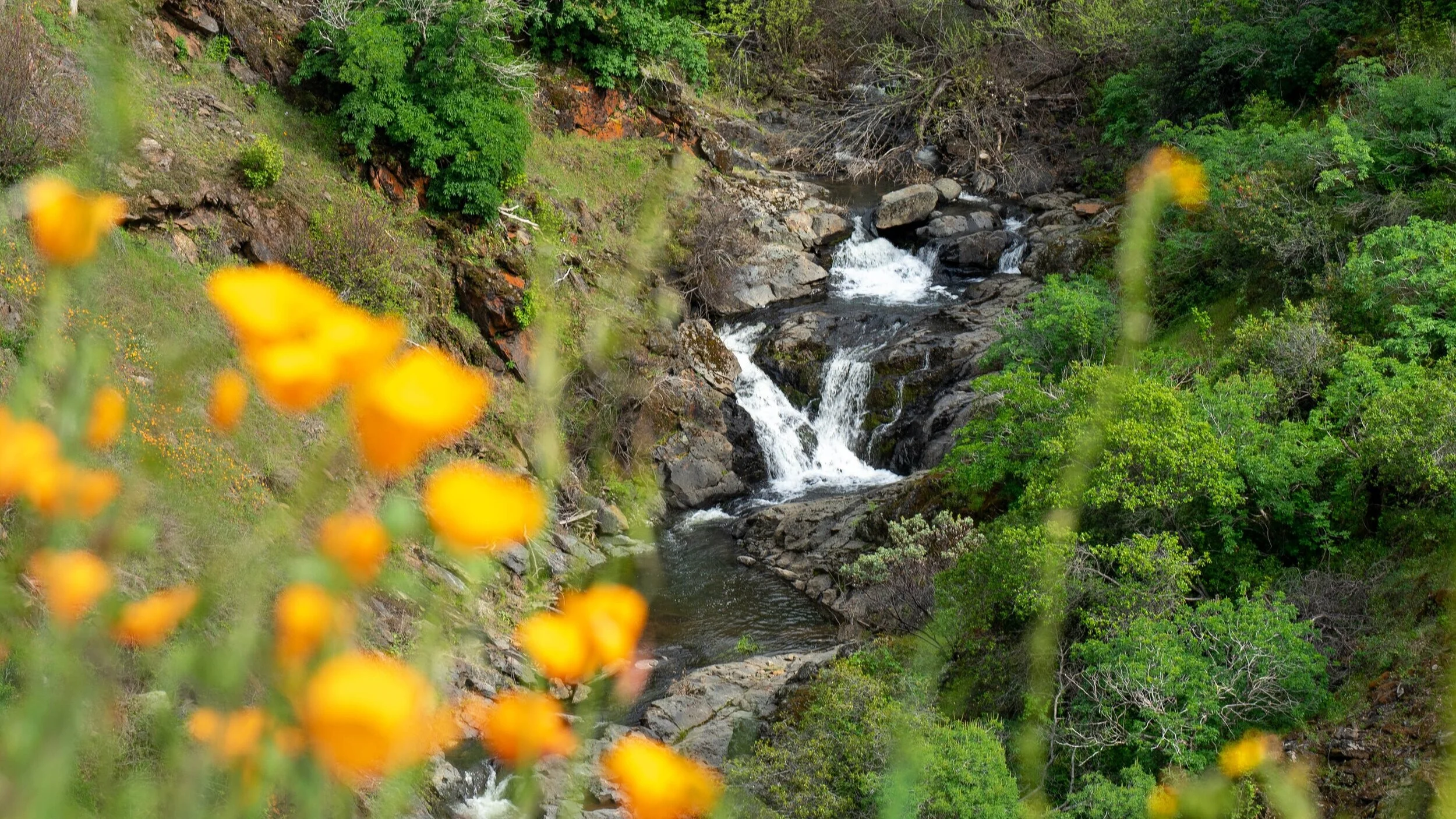 Tuolumne River Trust