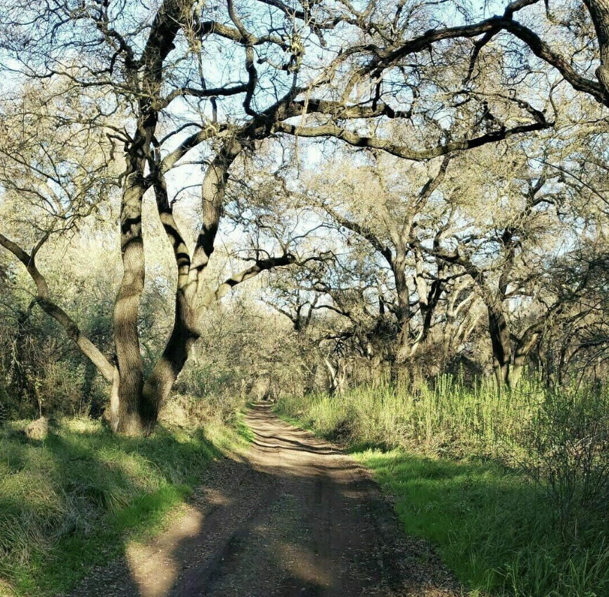 River Bend-Majestic Oaks Loop Trail</a>
