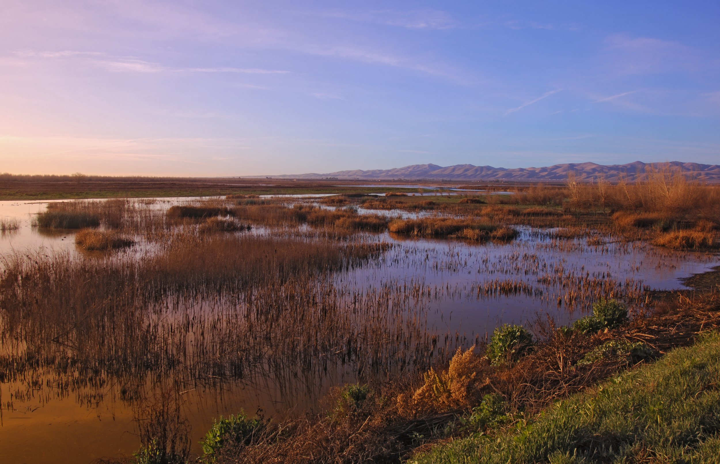 DosRios_DouglasSteakleyPhotography.JPG