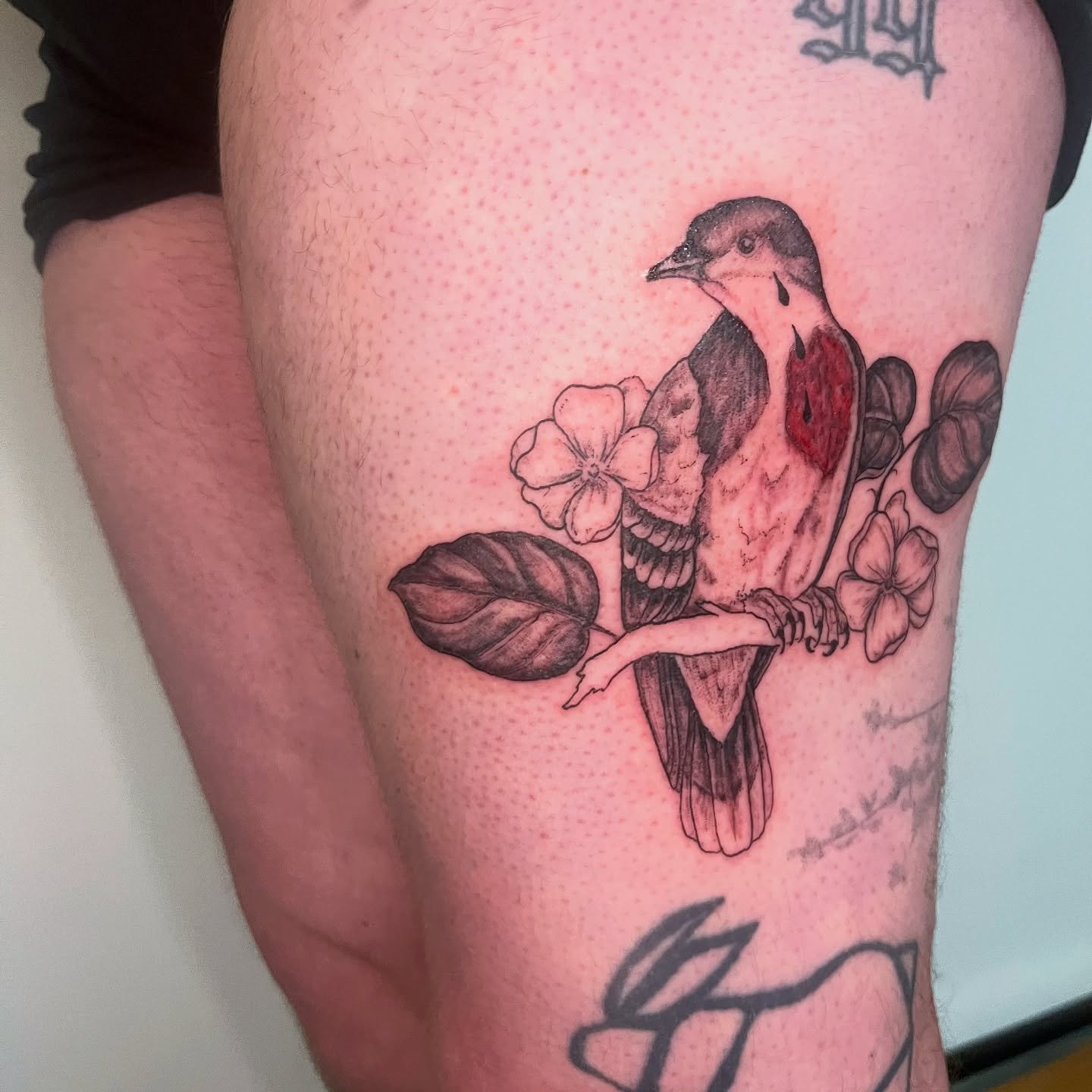 bleeding heart dove and jasmine! bleeding heart doves are actually mainly ground dwelling doves, local to the Philippines. 

interested in learning more about the US involvement in the Philippines? check out the work that @ichrp.seattle does! i have 