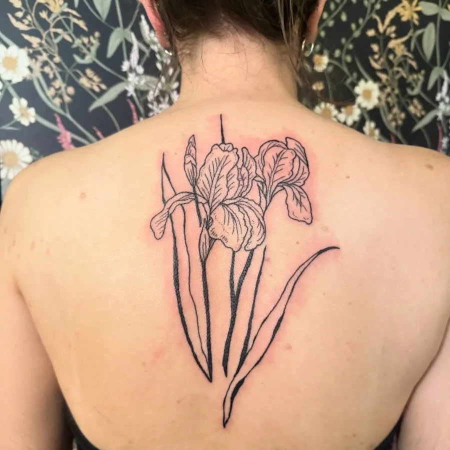back tat as a first tat! irises from my flash 🖤 

 #machinetattoo #seattletattooartist  #vegantattoo #vegantattooartist  #seattletattoo #seattletattooshop #floraltattoo #botanicaltattoo