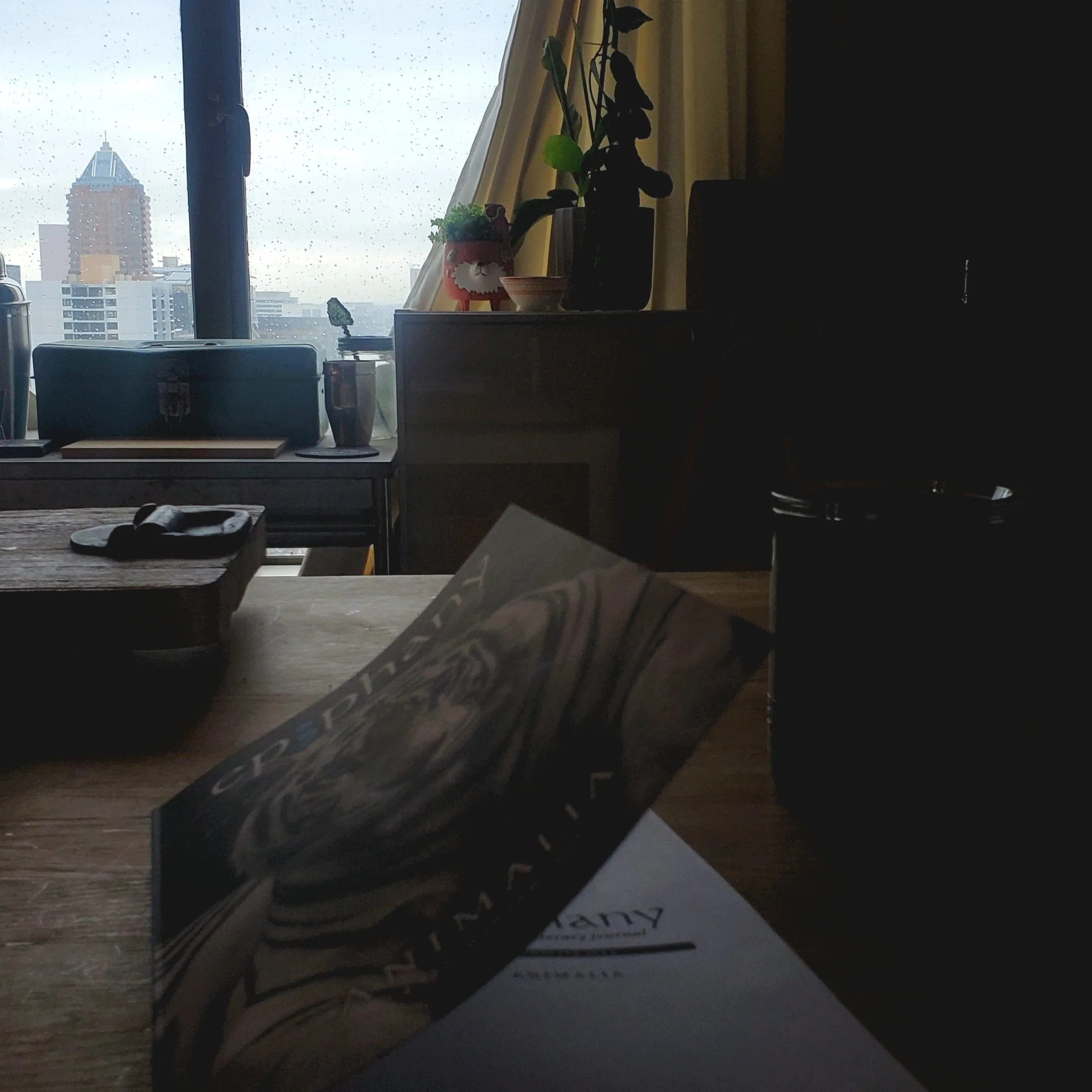 literary magazine on table in foreground, albino tiger on cover; background with view of skyscraper through rainy window with plants in front of it