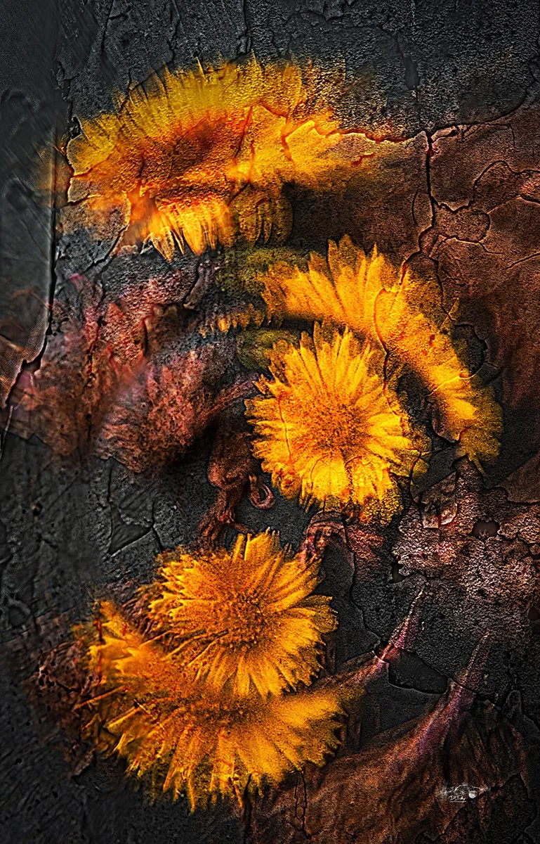 David Day Memories of Coreopsis 03 by David Day